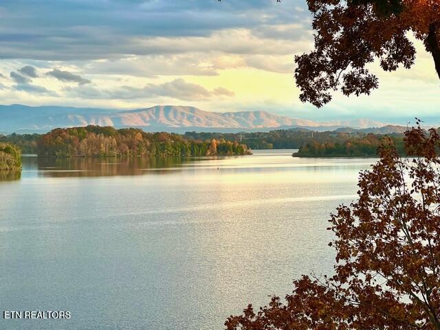 275 Rock Point Drive, Vonore, TN - Fort Loudoun and Tellico Lake Real Estate - Image# 4