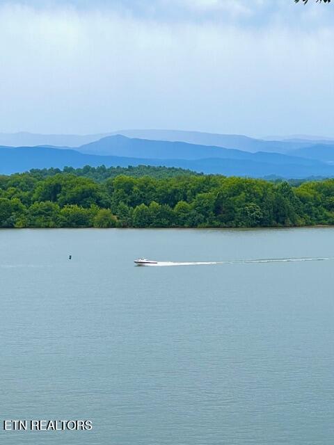 275 Rock Point Drive, Vonore, TN - Fort Loudoun and Tellico Lake Real Estate - Image# 50