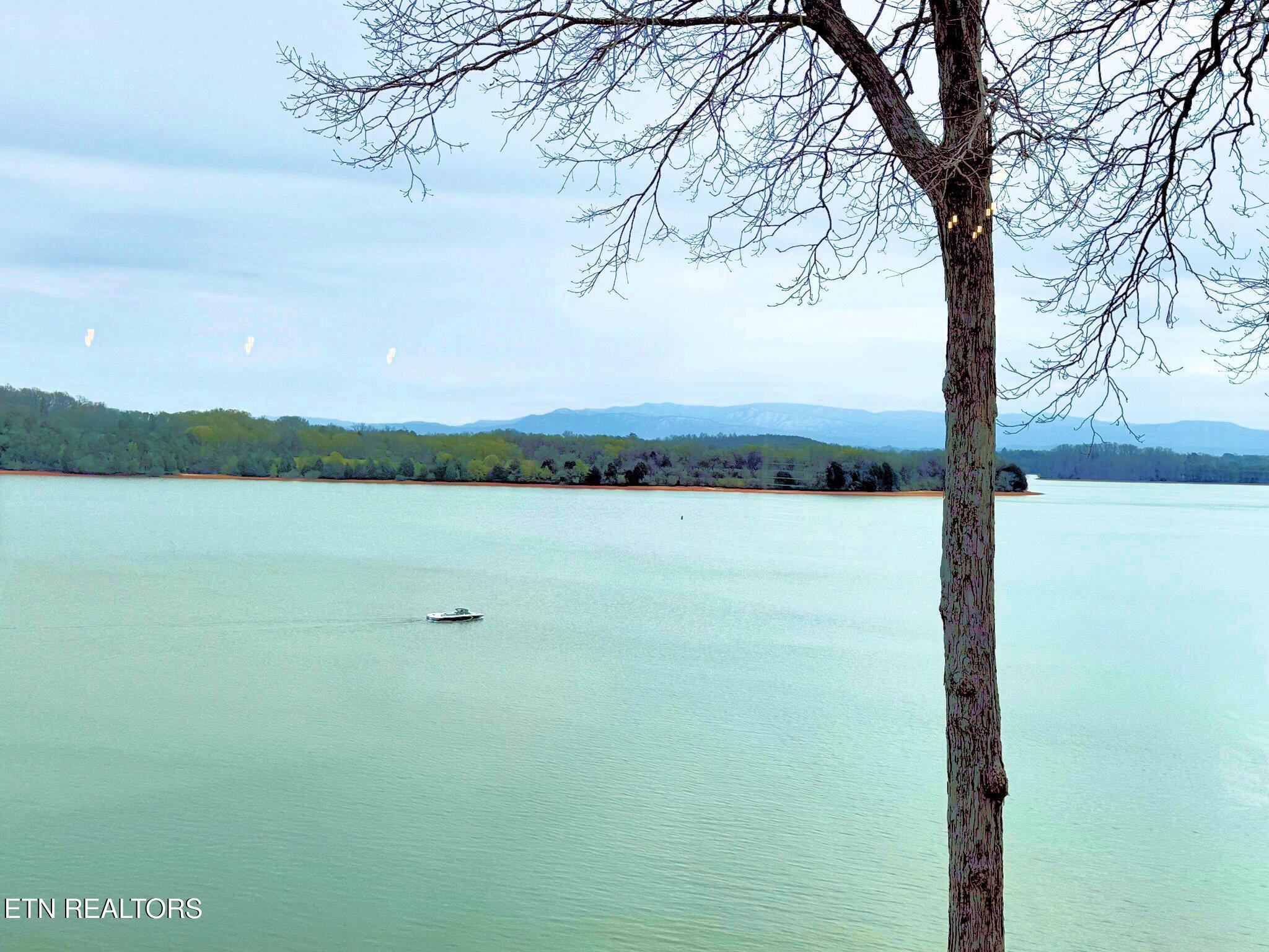 275 Rock Point Drive, Vonore, TN - Fort Loudoun and Tellico Lake Real Estate - Image# 49