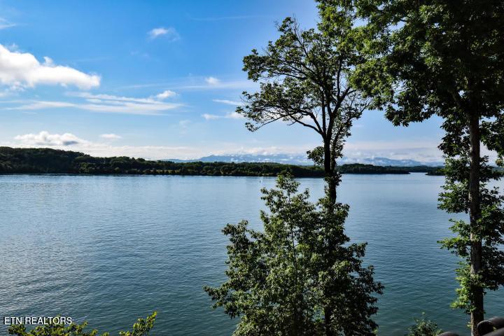 275 Rock Point Drive, Vonore, TN - Fort Loudoun and Tellico Lake Real Estate - Image# 6