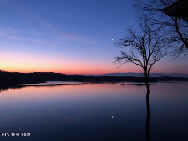 275 Rock Point Drive, Vonore, TN - Fort Loudoun and Tellico Lake Real Estate - Image# 60