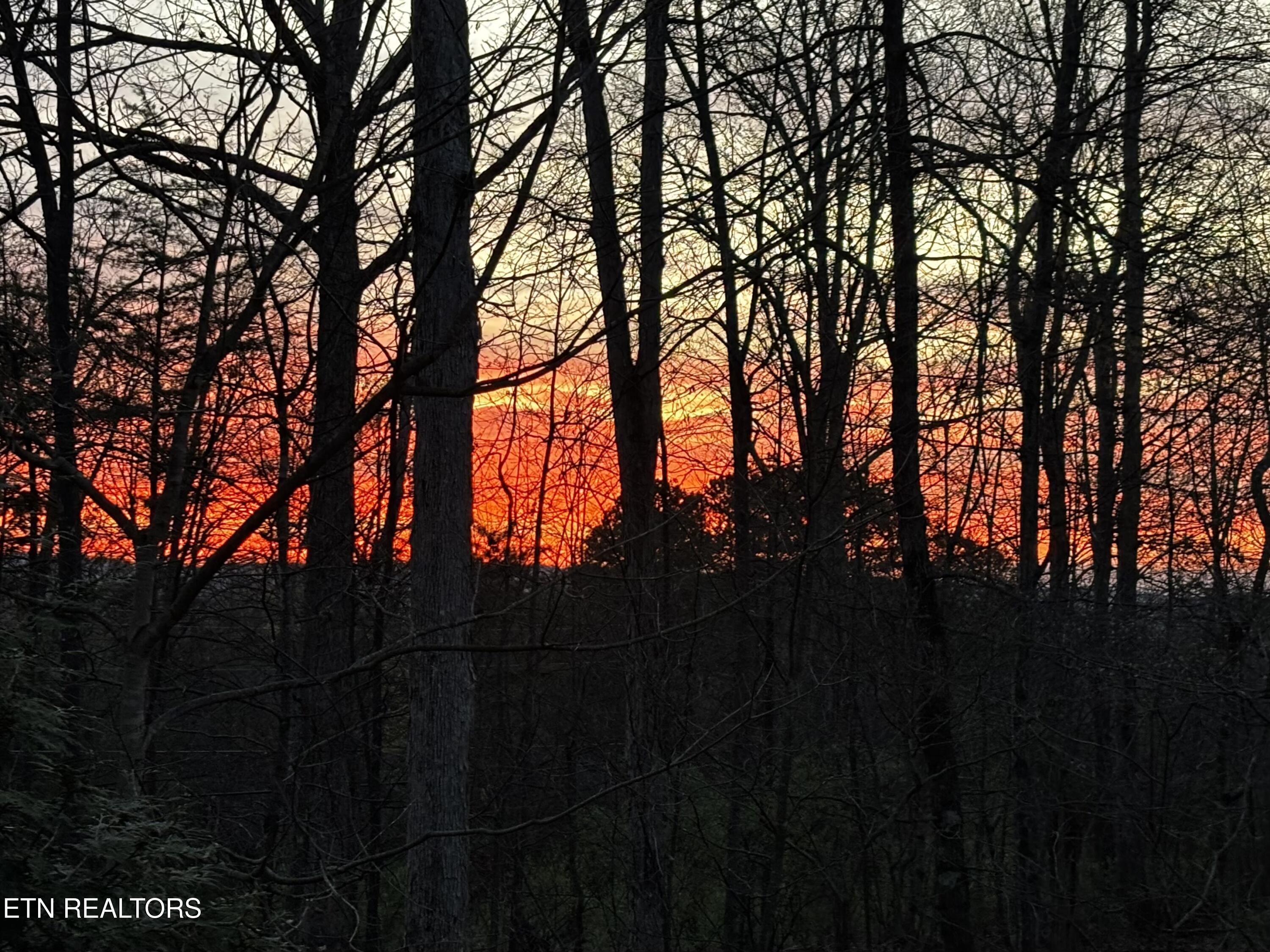 209 Osage Lane, Loudon, TN - Fort Loudoun and Tellico Lake Real Estate - Image# 46