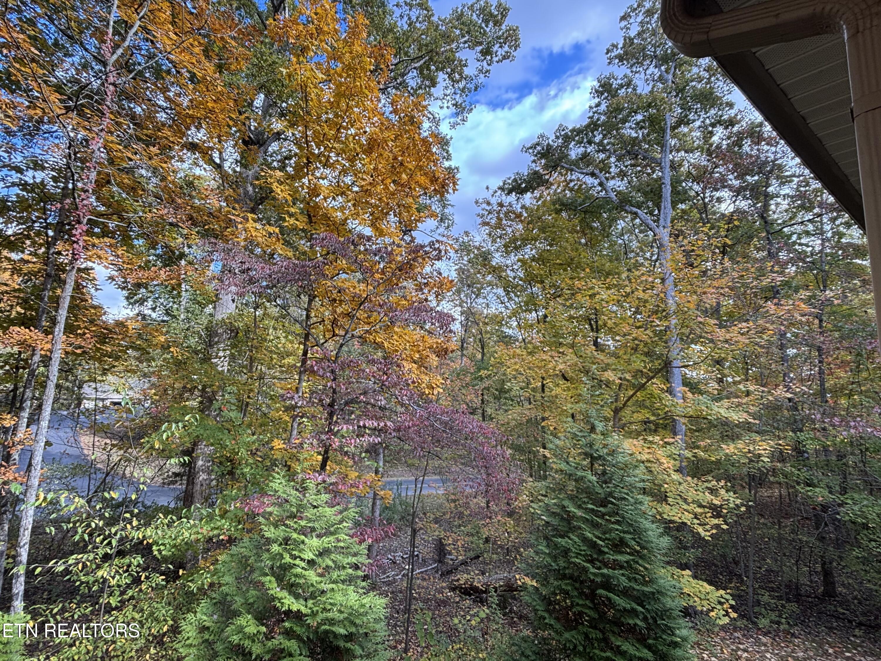 209 Osage Lane, Loudon, TN - Fort Loudoun and Tellico Lake Real Estate - Image# 50