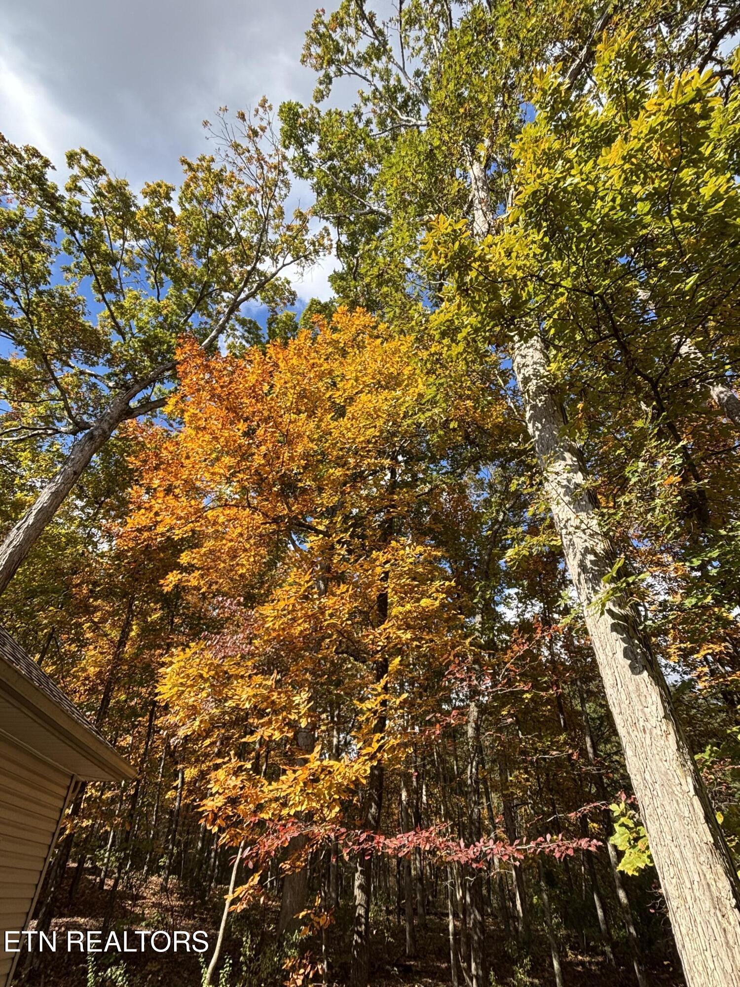 209 Osage Lane, Loudon, TN - Fort Loudoun and Tellico Lake Real Estate - Image# 51