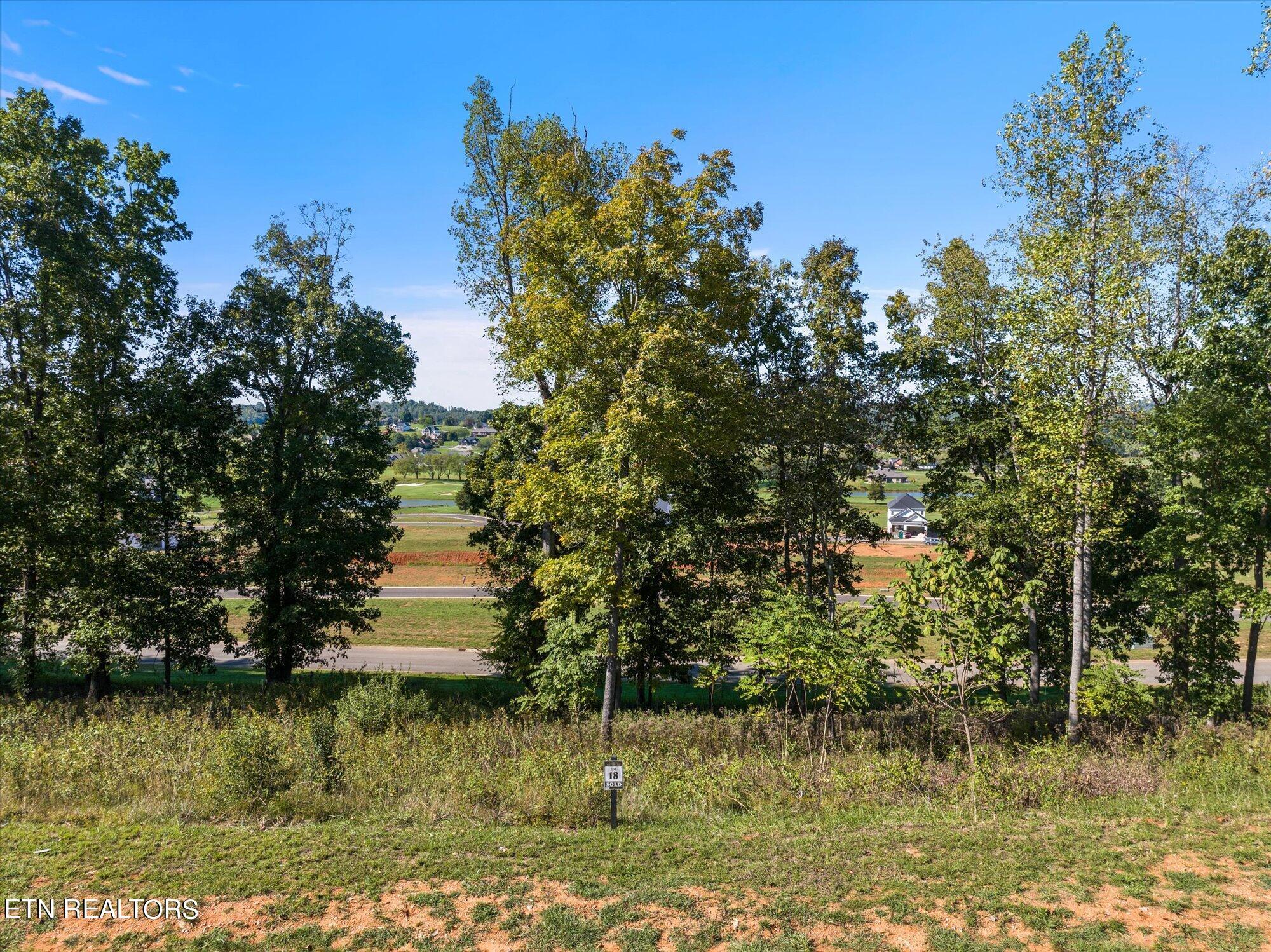 1479 Black Cove Lane, Loudon, TN - Fort Loudoun and Tellico Lake Real Estate - Image# 3