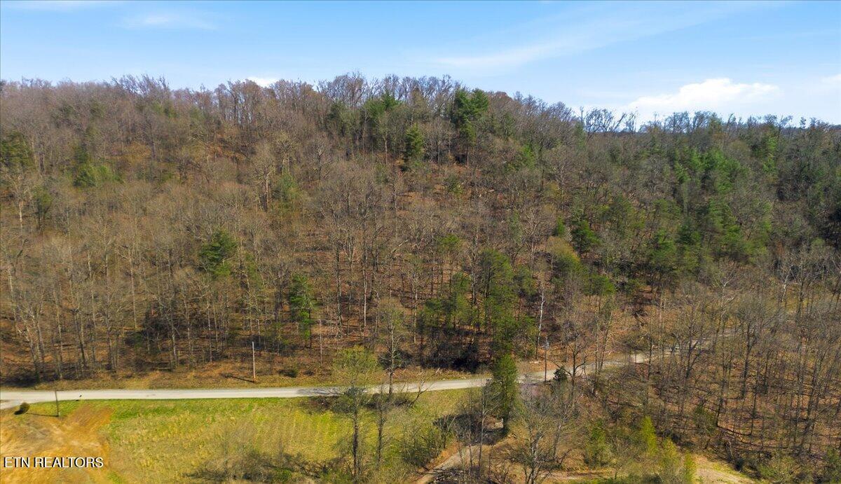 281 Blackburn Lane, Lenoir City, TN - Fort Loudoun and Tellico Lake Real Estate - Image# 20