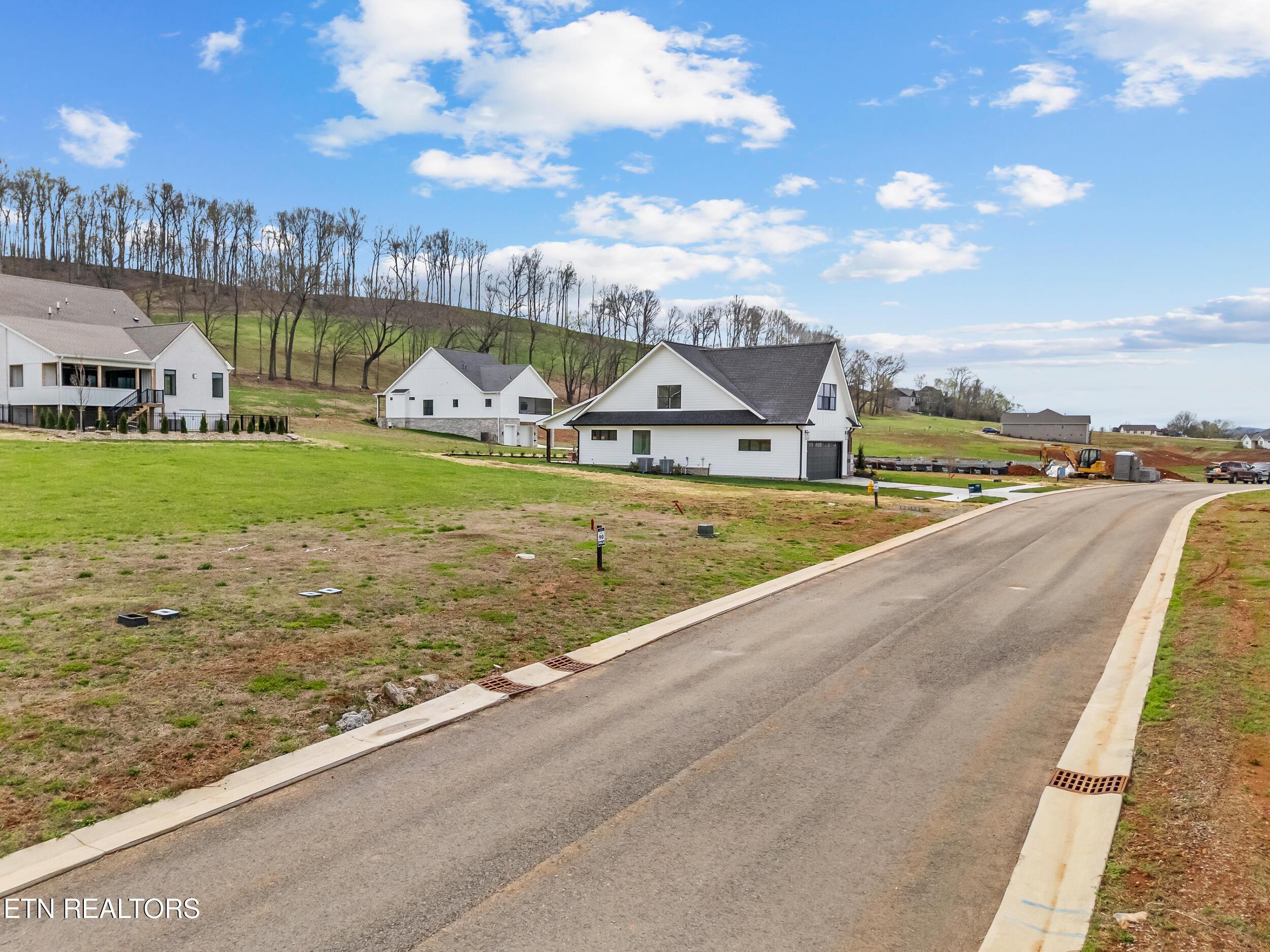 980 Black Bear Circle, Loudon, TN - Fort Loudoun and Tellico Lake Real Estate - Image# 3