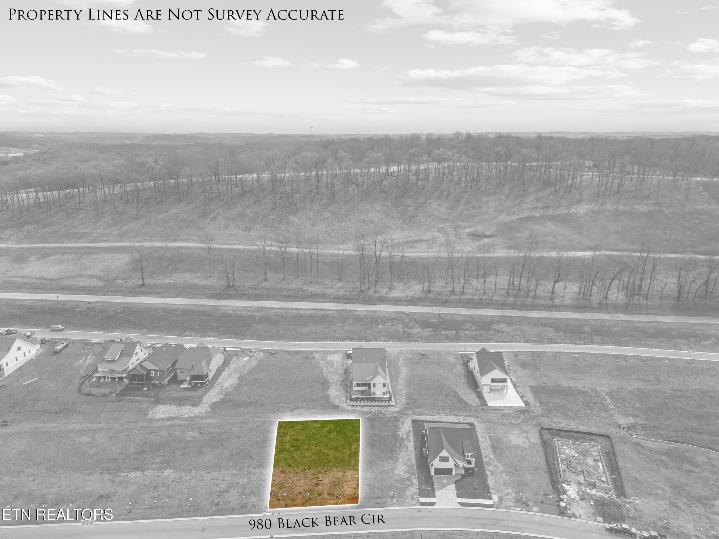 980 Black Bear Circle, Loudon, TN - Fort Loudoun and Tellico Lake Real Estate - Image# 17