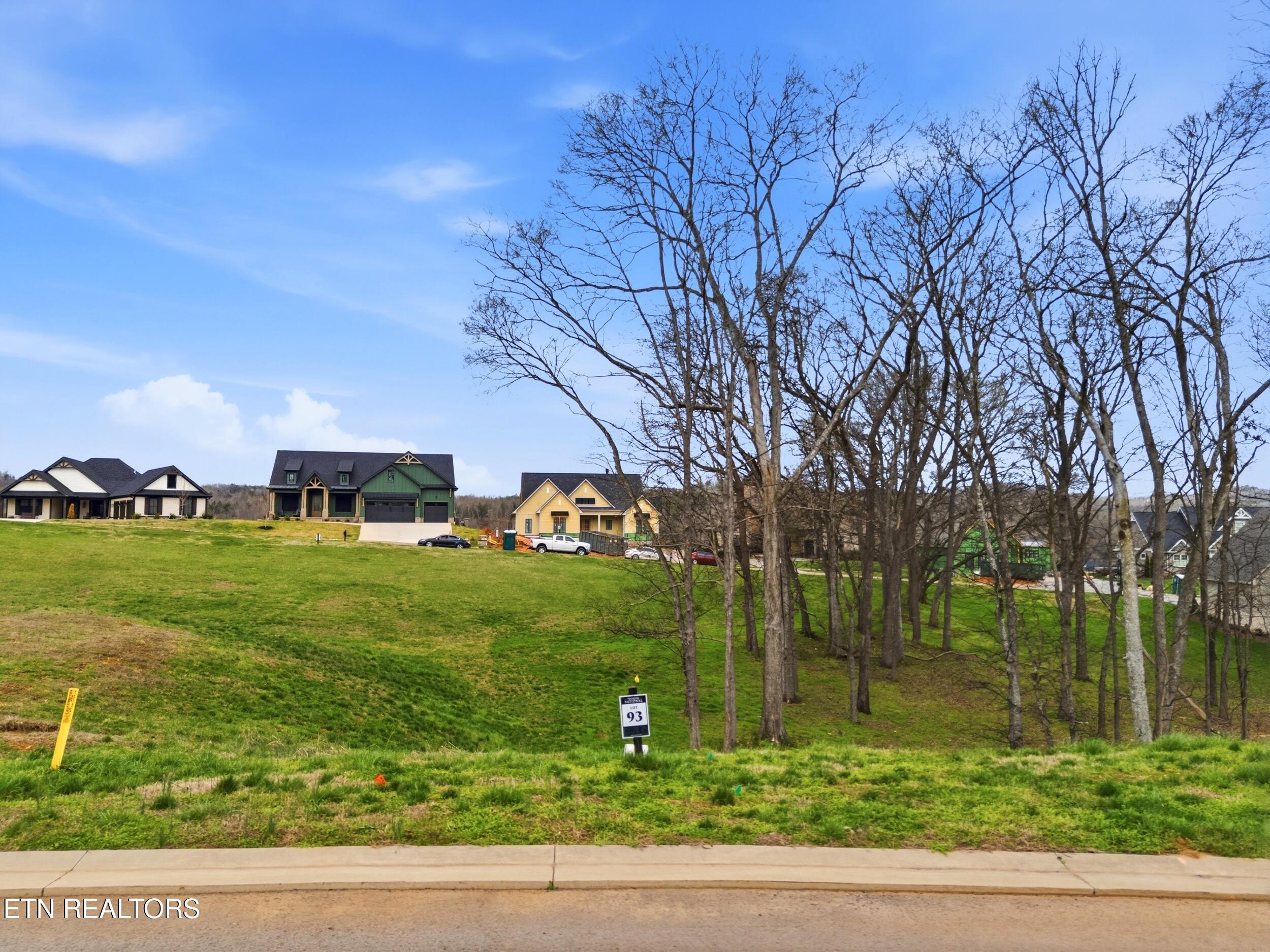 161 Keho Court, Loudon, TN - Fort Loudoun and Tellico Lake Real Estate - Image# 2