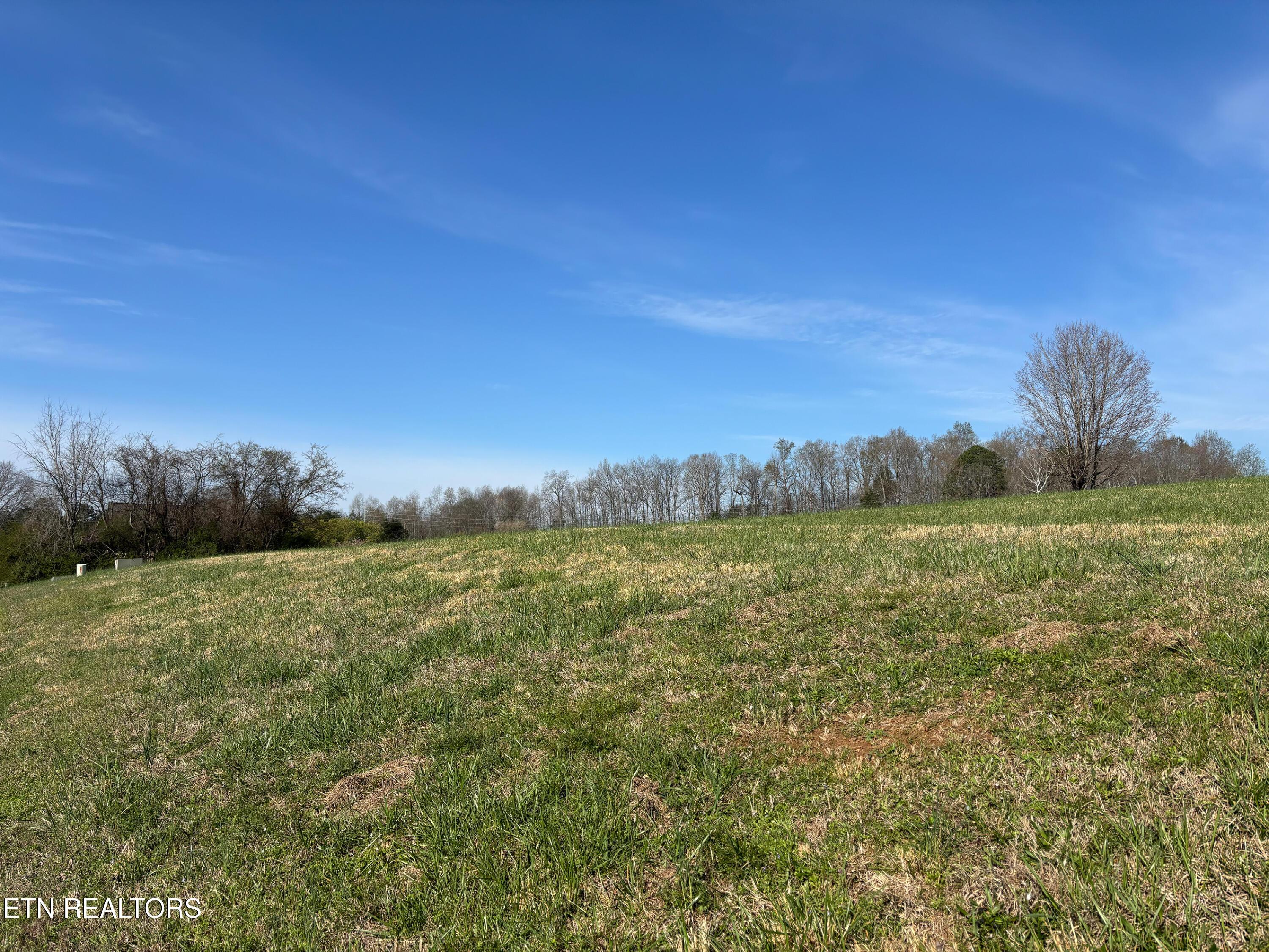 250 Osprey Circle, Vonore, TN - Fort Loudoun and Tellico Lake Real Estate - Image# 22