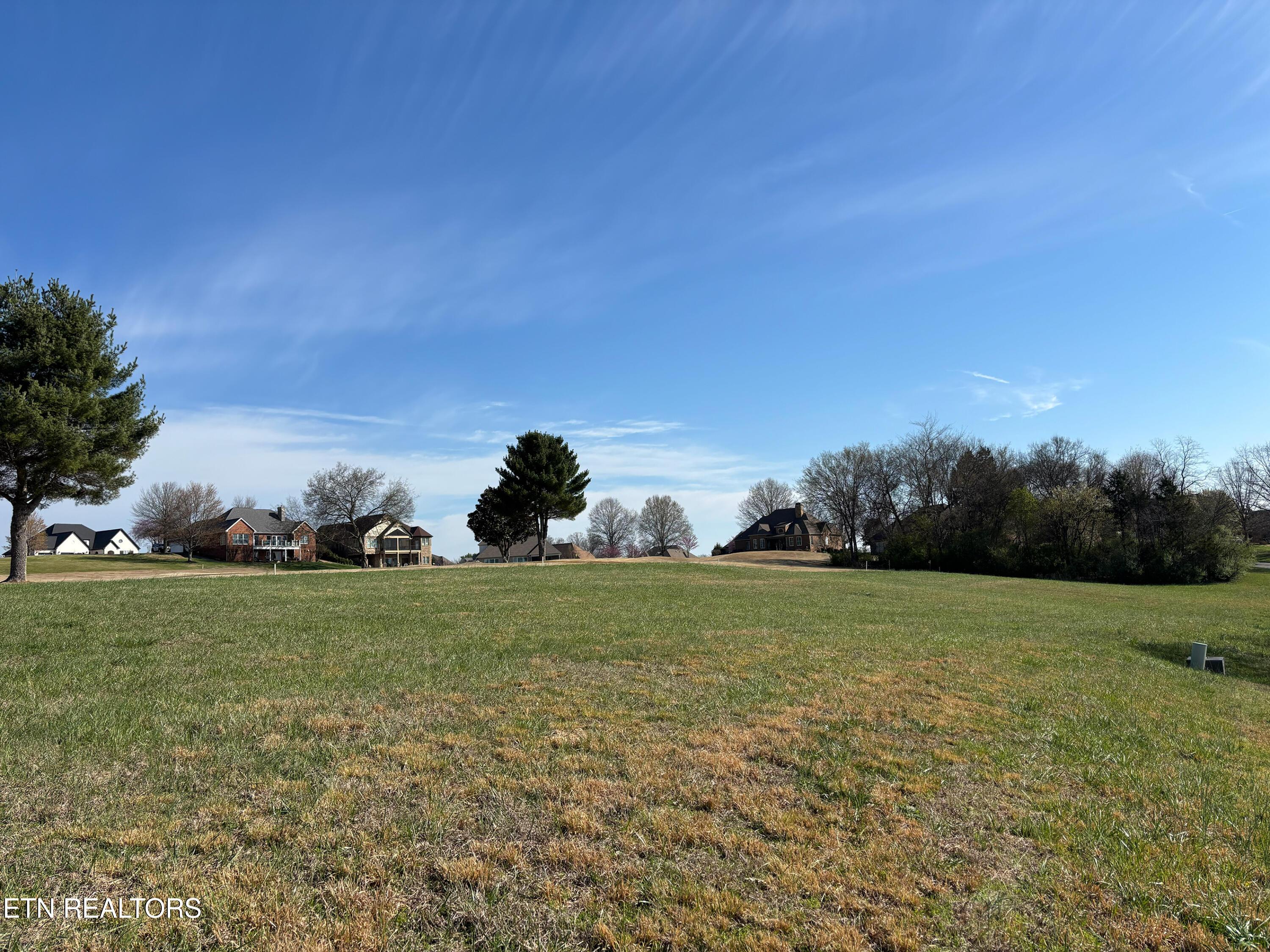 250 Osprey Circle, Vonore, TN - Fort Loudoun and Tellico Lake Real Estate - Image# 5