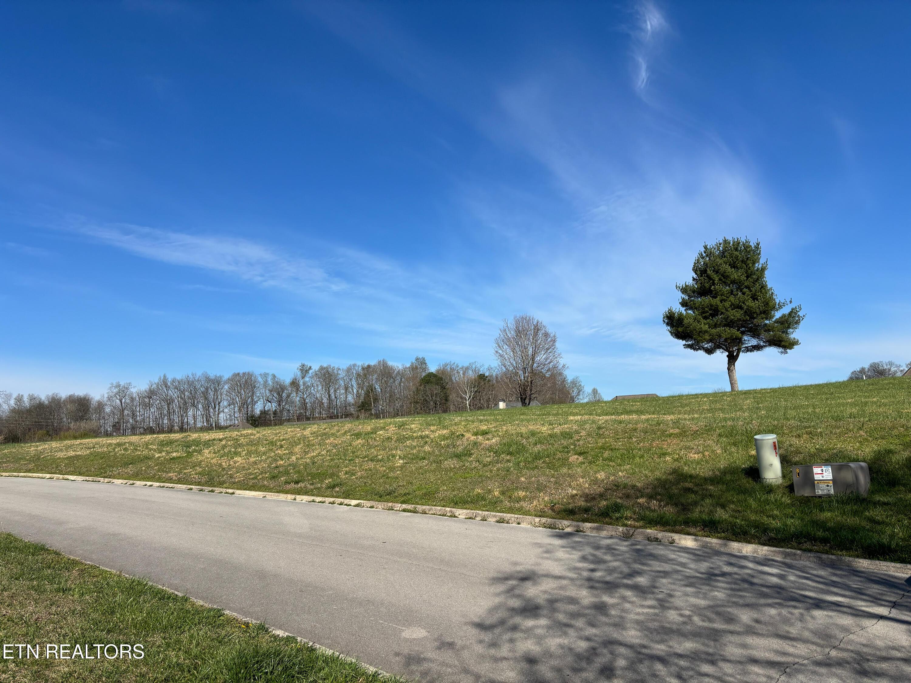 250 Osprey Circle, Vonore, TN - Fort Loudoun and Tellico Lake Real Estate - Image# 28