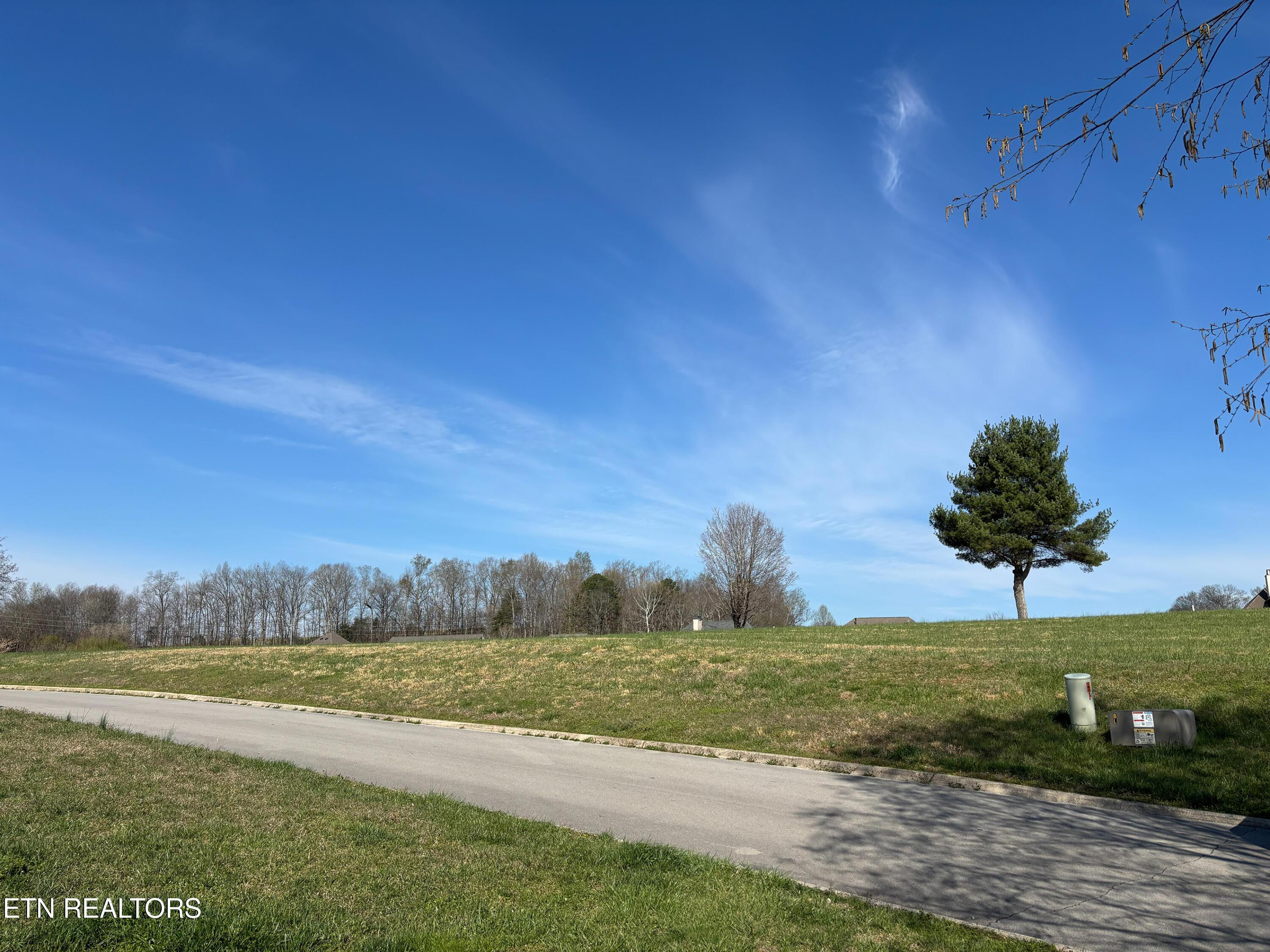 250 Osprey Circle, Vonore, TN - Fort Loudoun and Tellico Lake Real Estate - Image# 29