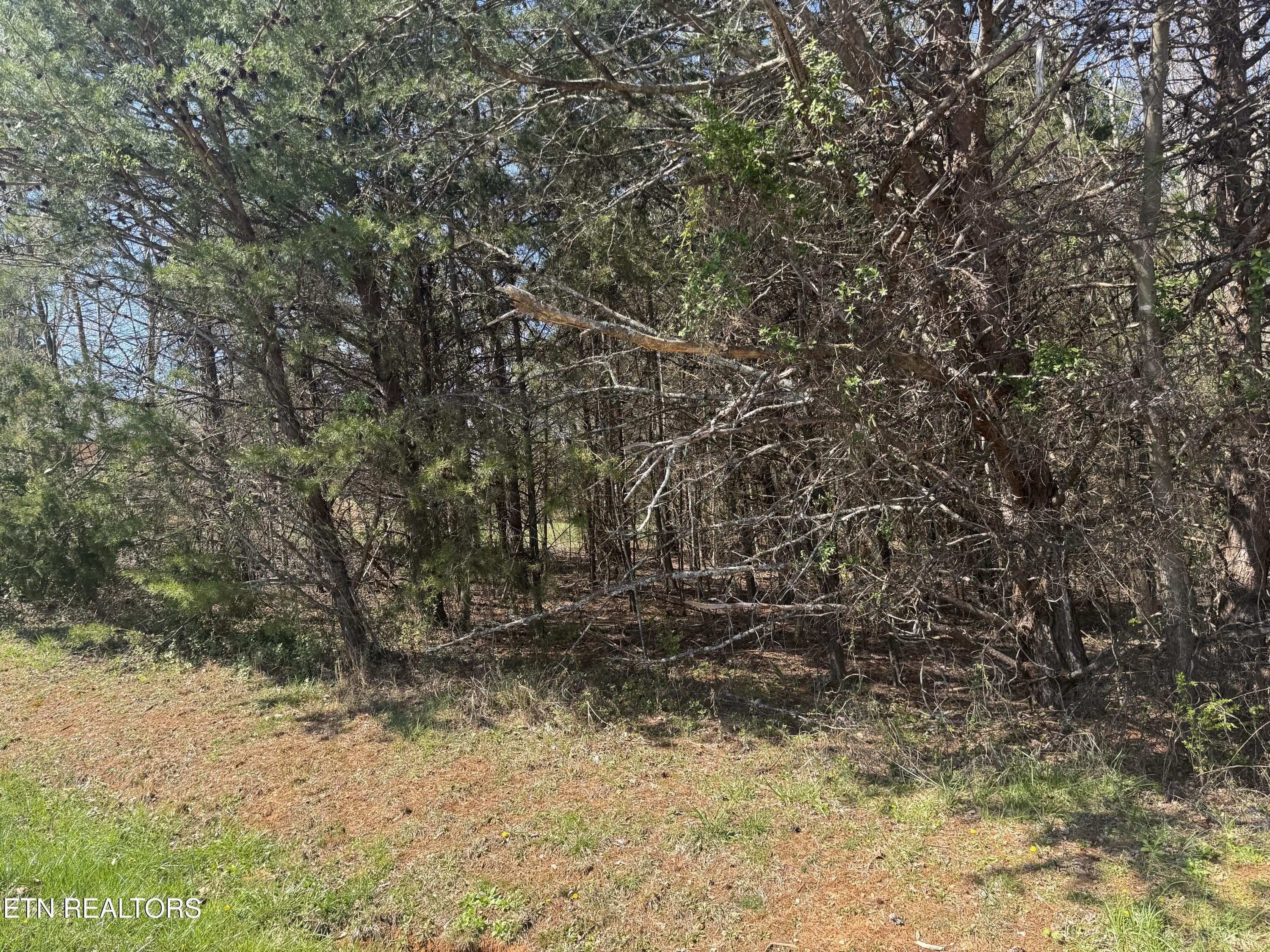 Lot 24 Ganega Tr, Vonore, TN - Fort Loudoun and Tellico Lake Real Estate - Image# 4