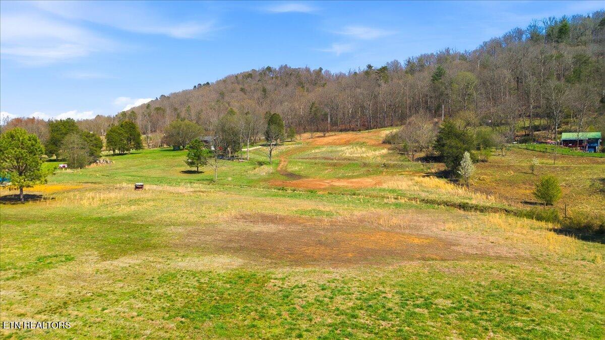 281 Blackburn Lane, Lenoir City, TN - Fort Loudoun and Tellico Lake Real Estate - Image# 9