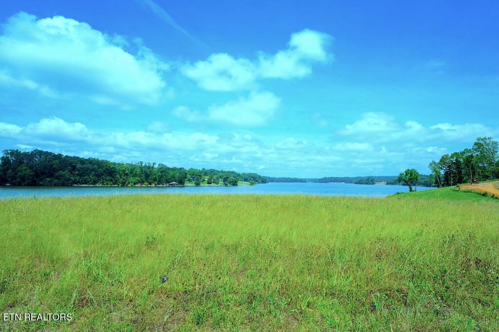 Arcadia Peninsula Way, Knoxville, TN - Fort Loudoun and Tellico Lake Real Estate - Image# 2