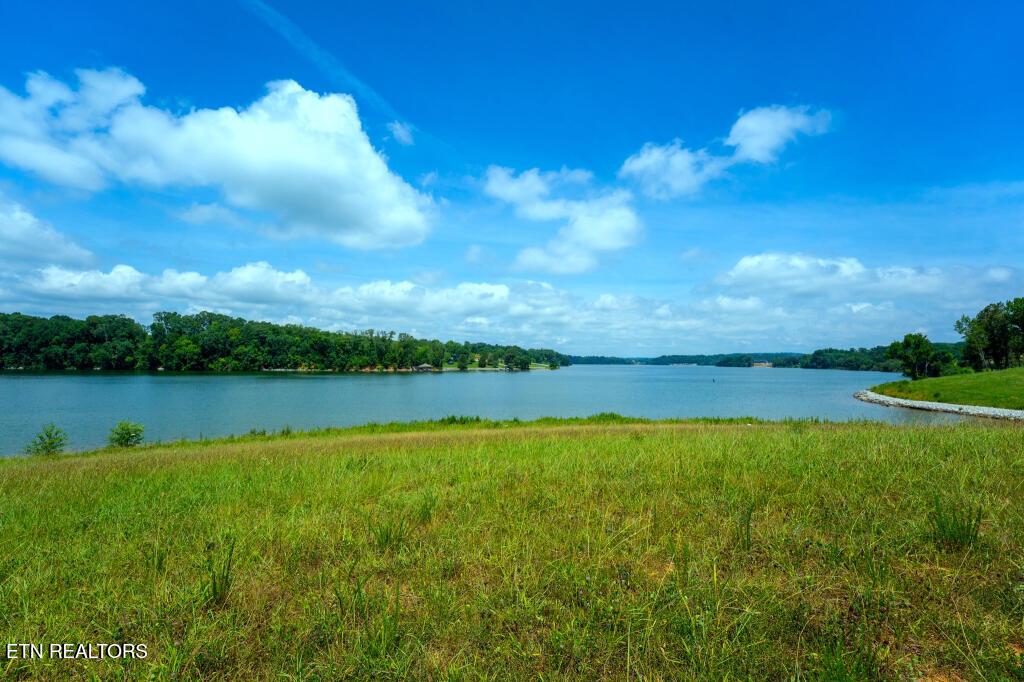 Arcadia Peninsula Way, Knoxville, TN - Fort Loudoun and Tellico Lake Real Estate - Image# 3