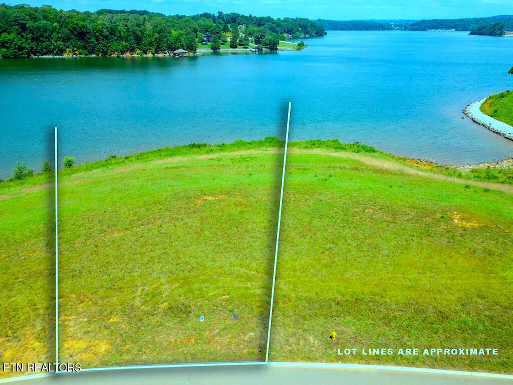 Arcadia Peninsula Way, Knoxville, TN - Fort Loudoun and Tellico Lake Real Estate - Image# 4