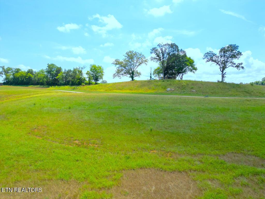 Arcadia Peninsula Way, Knoxville, TN - Fort Loudoun and Tellico Lake Real Estate - Image# 6