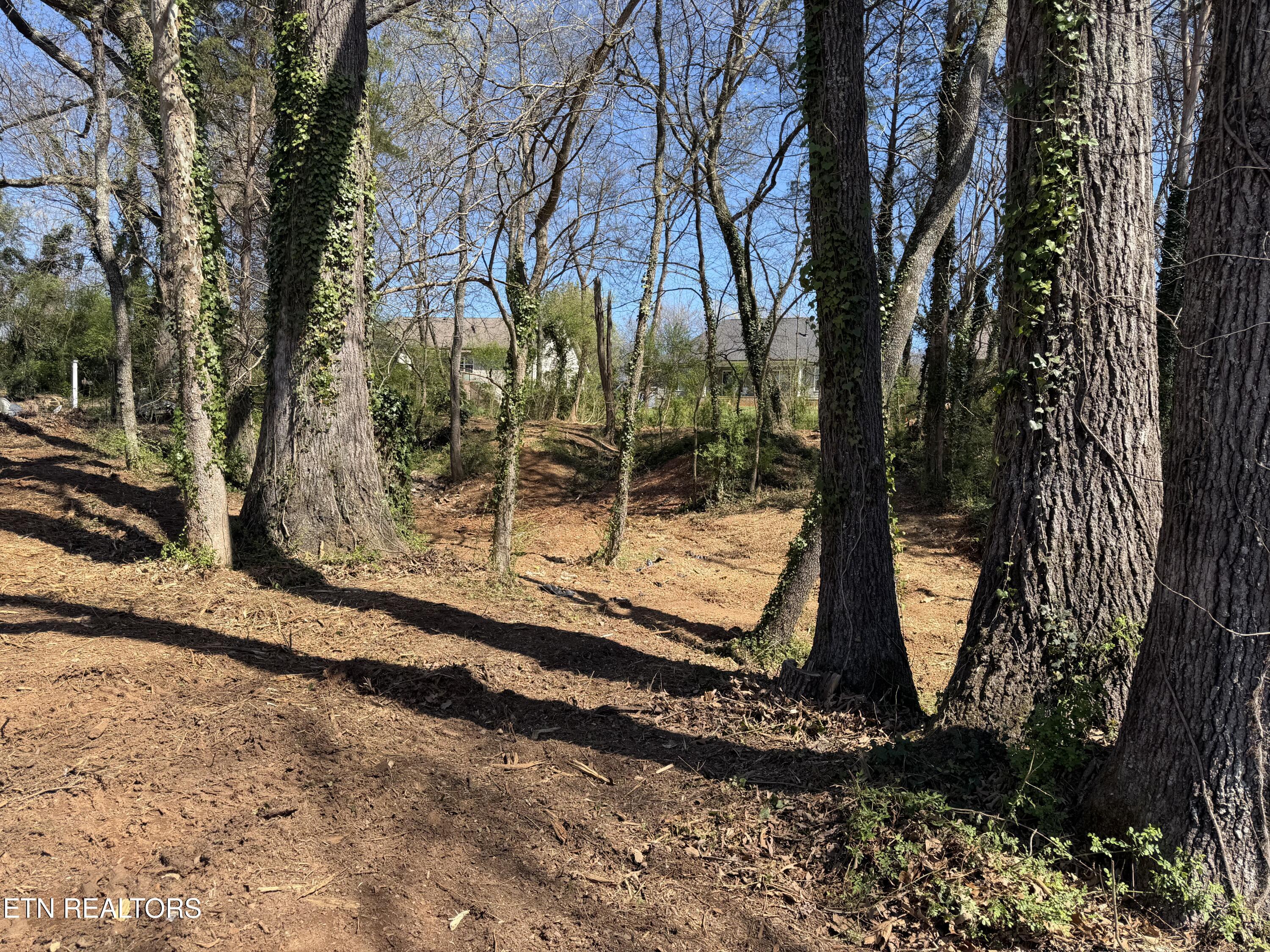 210 Chatuga Way, Loudon, TN - Fort Loudoun and Tellico Lake Real Estate - Image# 3