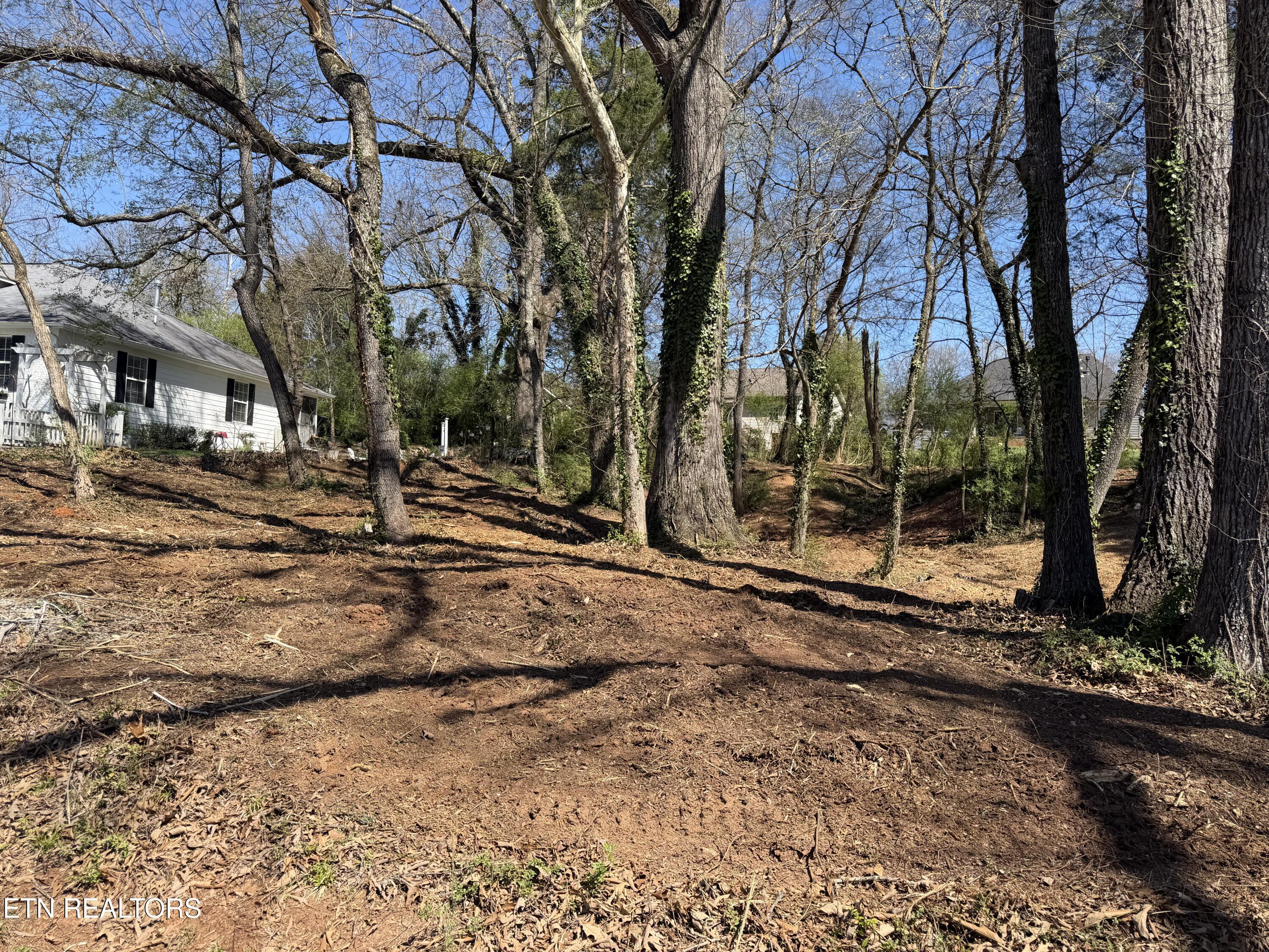 210 Chatuga Way, Loudon, TN - Fort Loudoun and Tellico Lake Real Estate - Image# 4