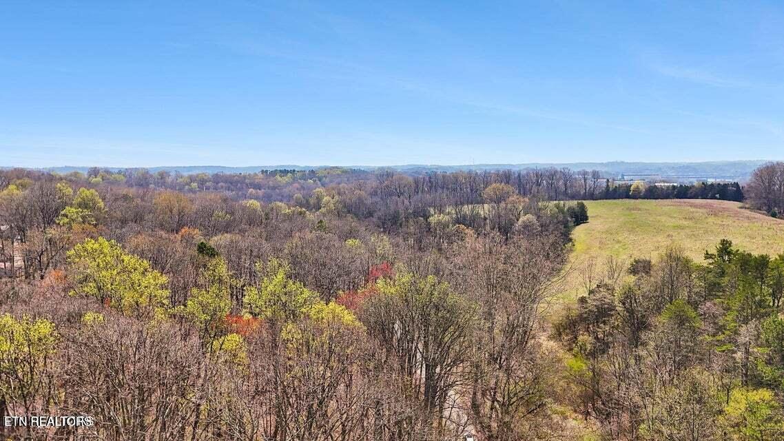 Fort Loudoun and Tellico Lake Real Estate - Image# 11