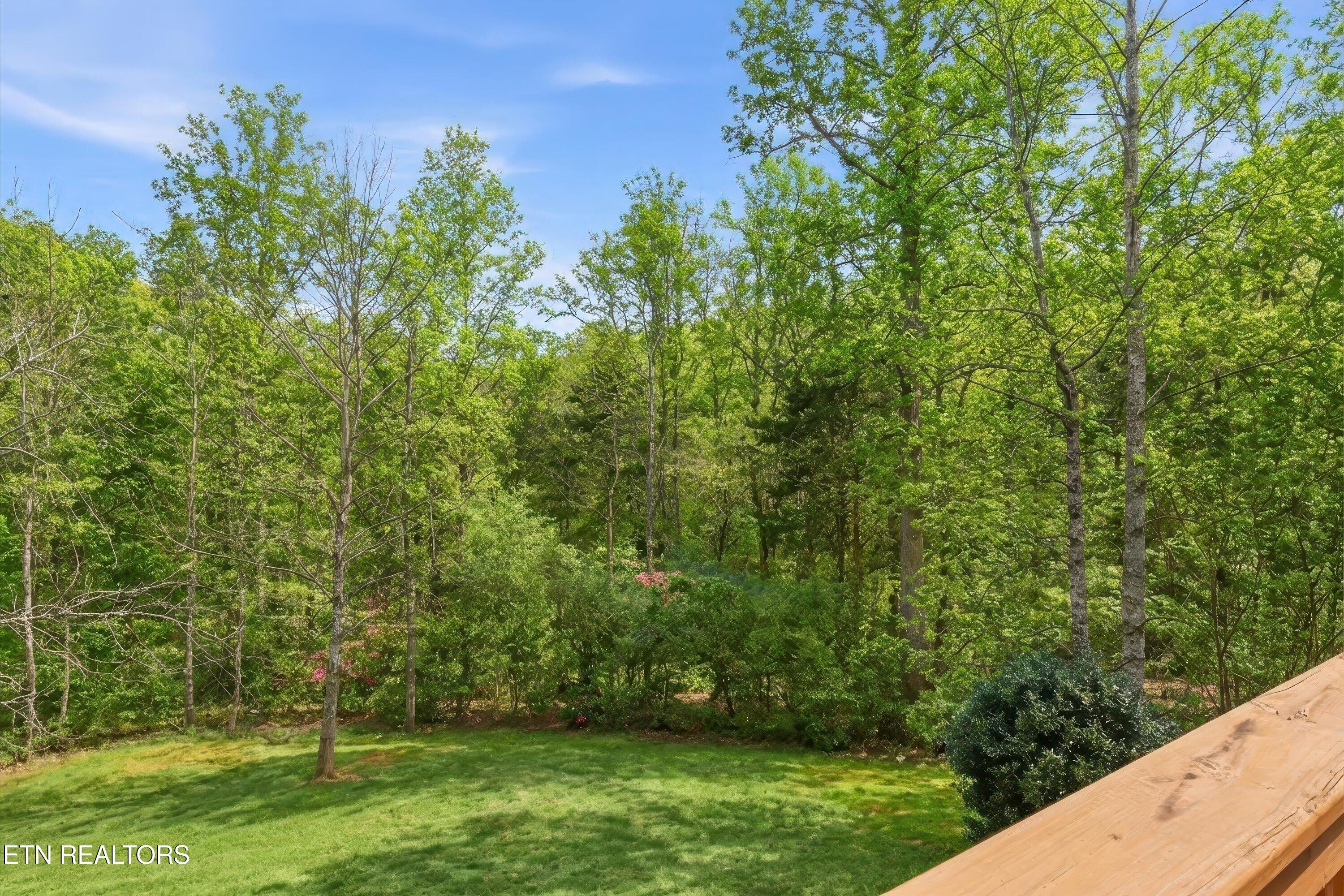 Fort Loudoun and Tellico Lake Real Estate - Image# 20