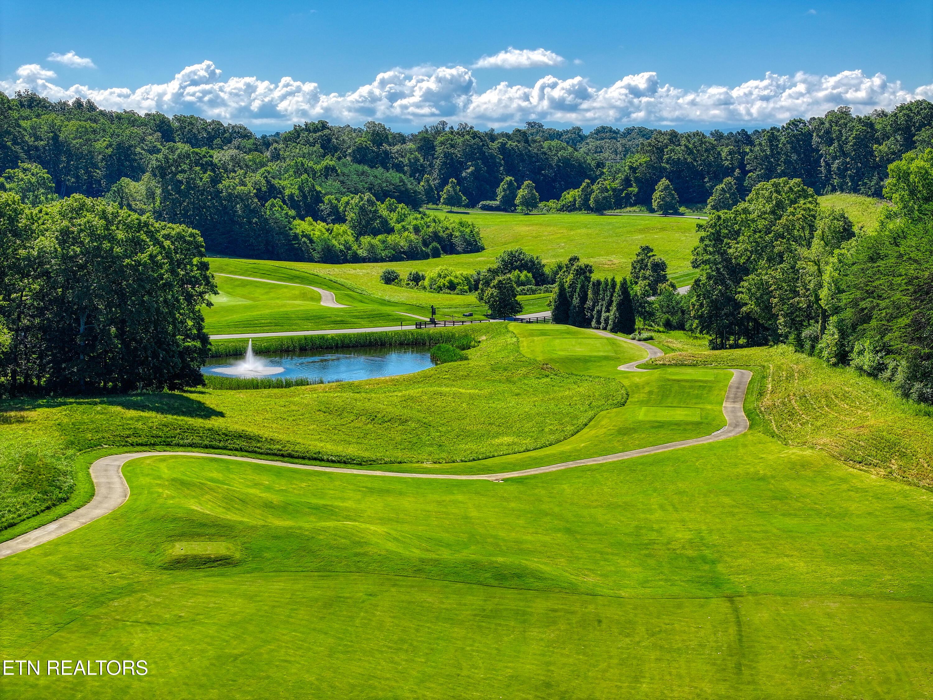 Fort Loudoun and Tellico Lake Real Estate - Image# 24