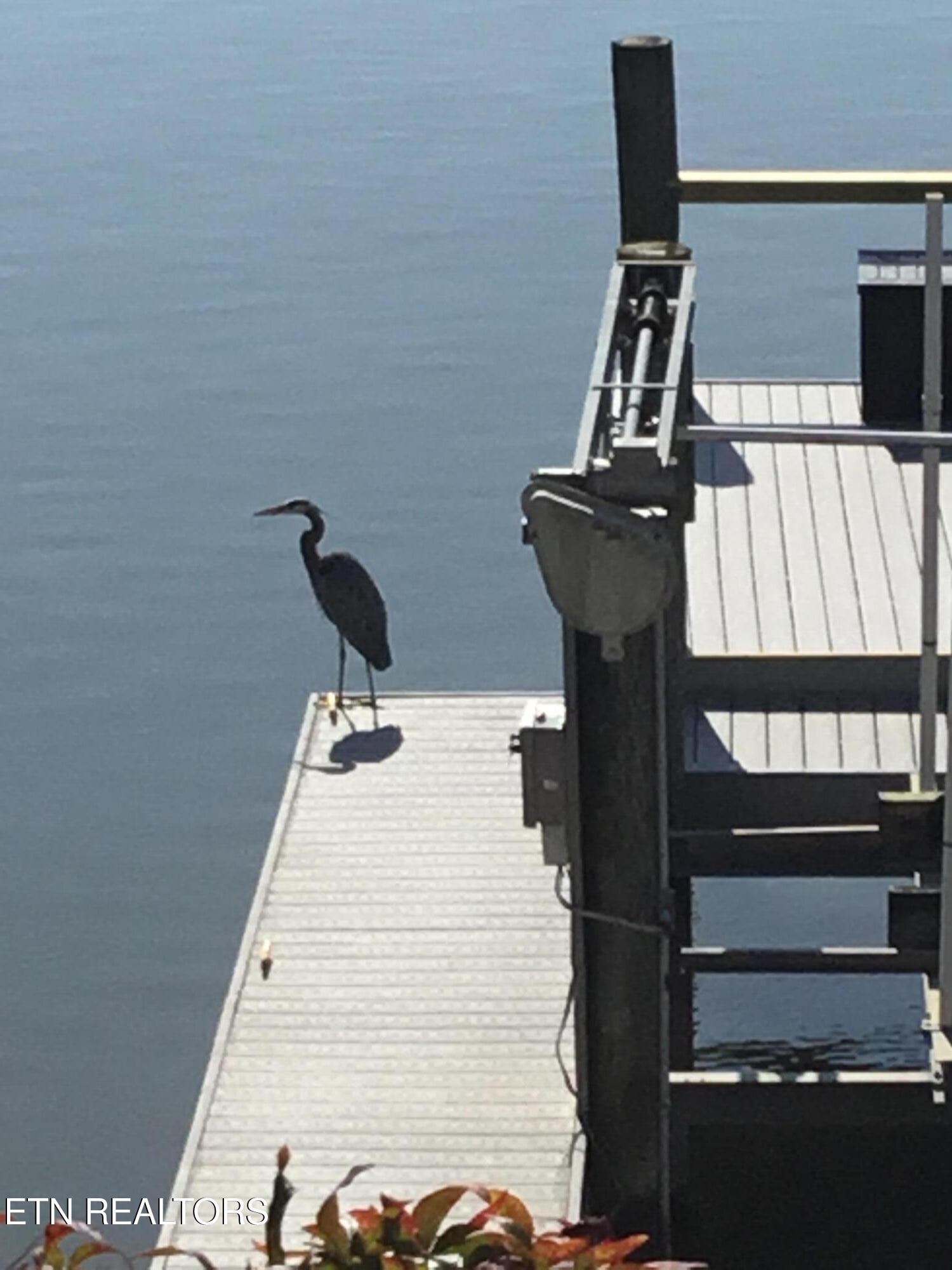 3466 Navigator Point, Knoxville, TN - Fort Loudoun and Tellico Lake Real Estate - Image# 34