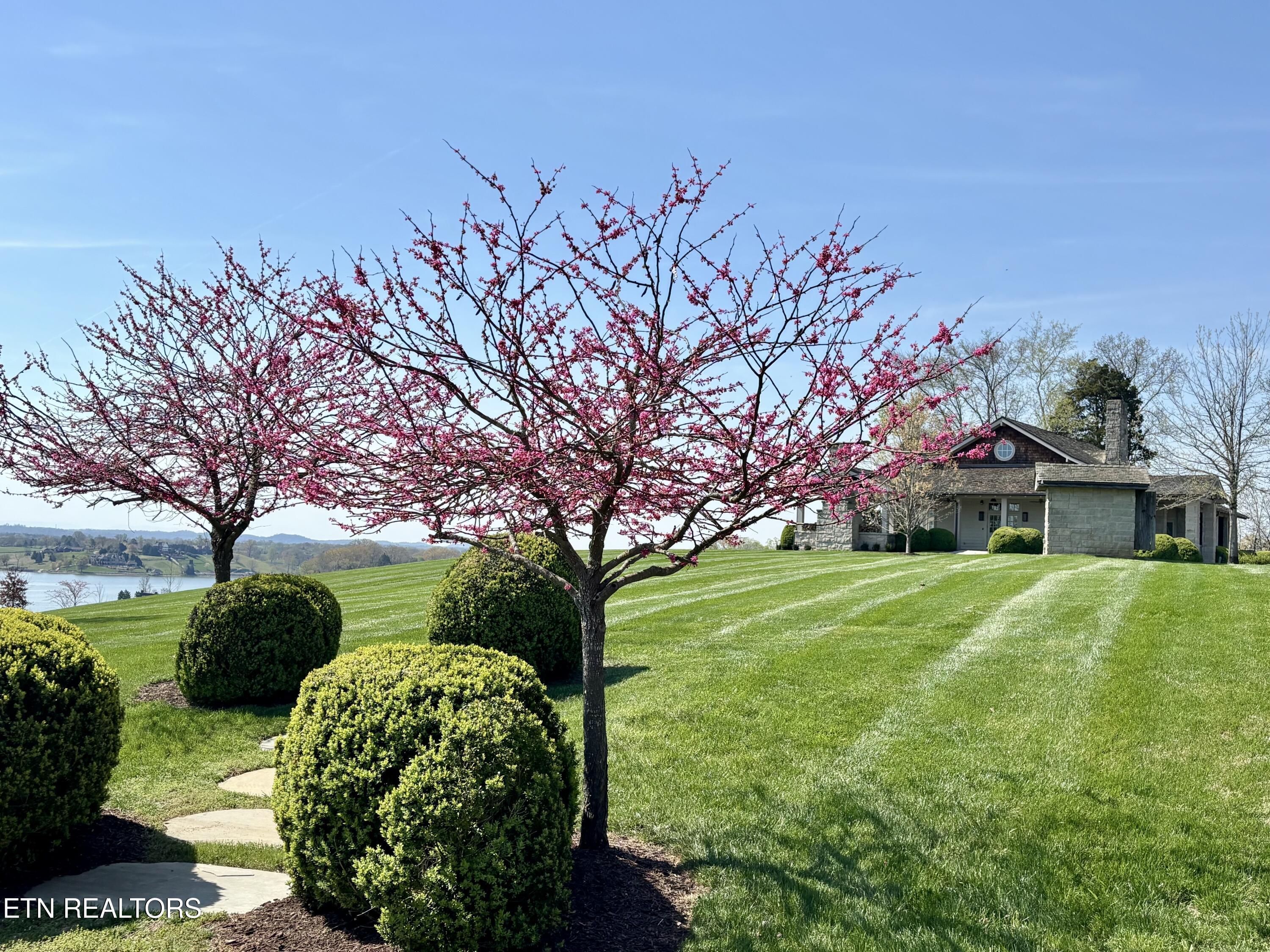 2027 Arcadia Peninsula Way, Knoxville, TN - Fort Loudoun and Tellico Lake Real Estate - Image# 6