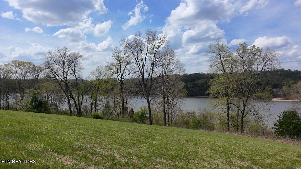 687 River Bank Tr, Loudon, TN - Fort Loudoun and Tellico Lake Real Estate - Image# 5