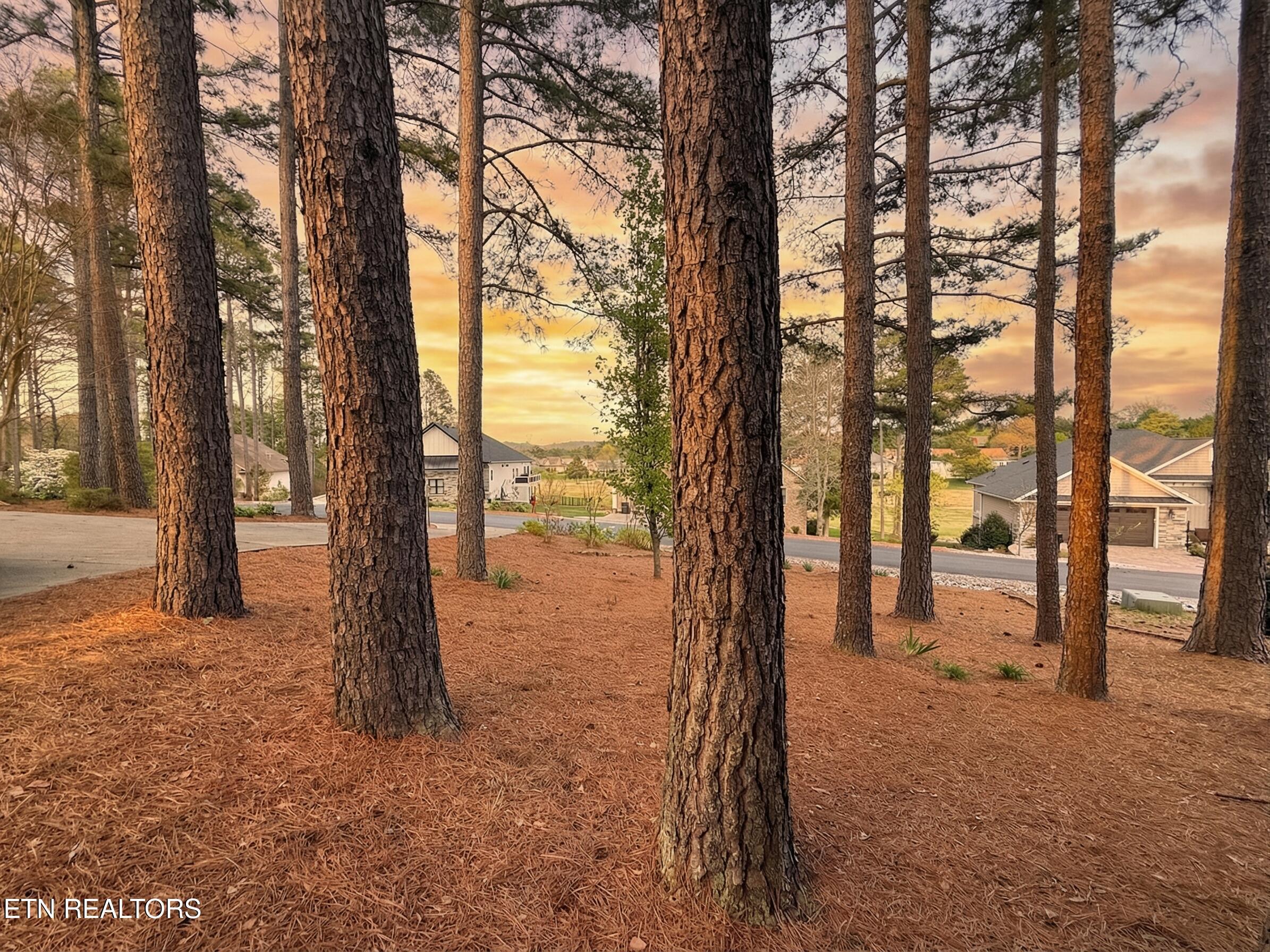 433 Wewoka Circle, Loudon, TN - Fort Loudoun and Tellico Lake Real Estate - Image# 44