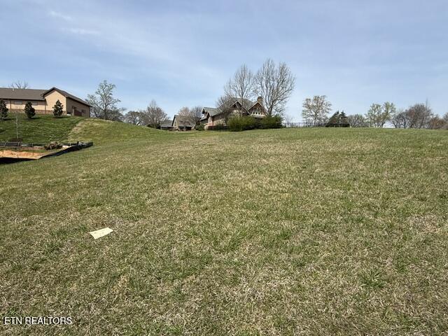 335 Hawks, Loudon, TN - Fort Loudoun and Tellico Lake Real Estate - Image# 4