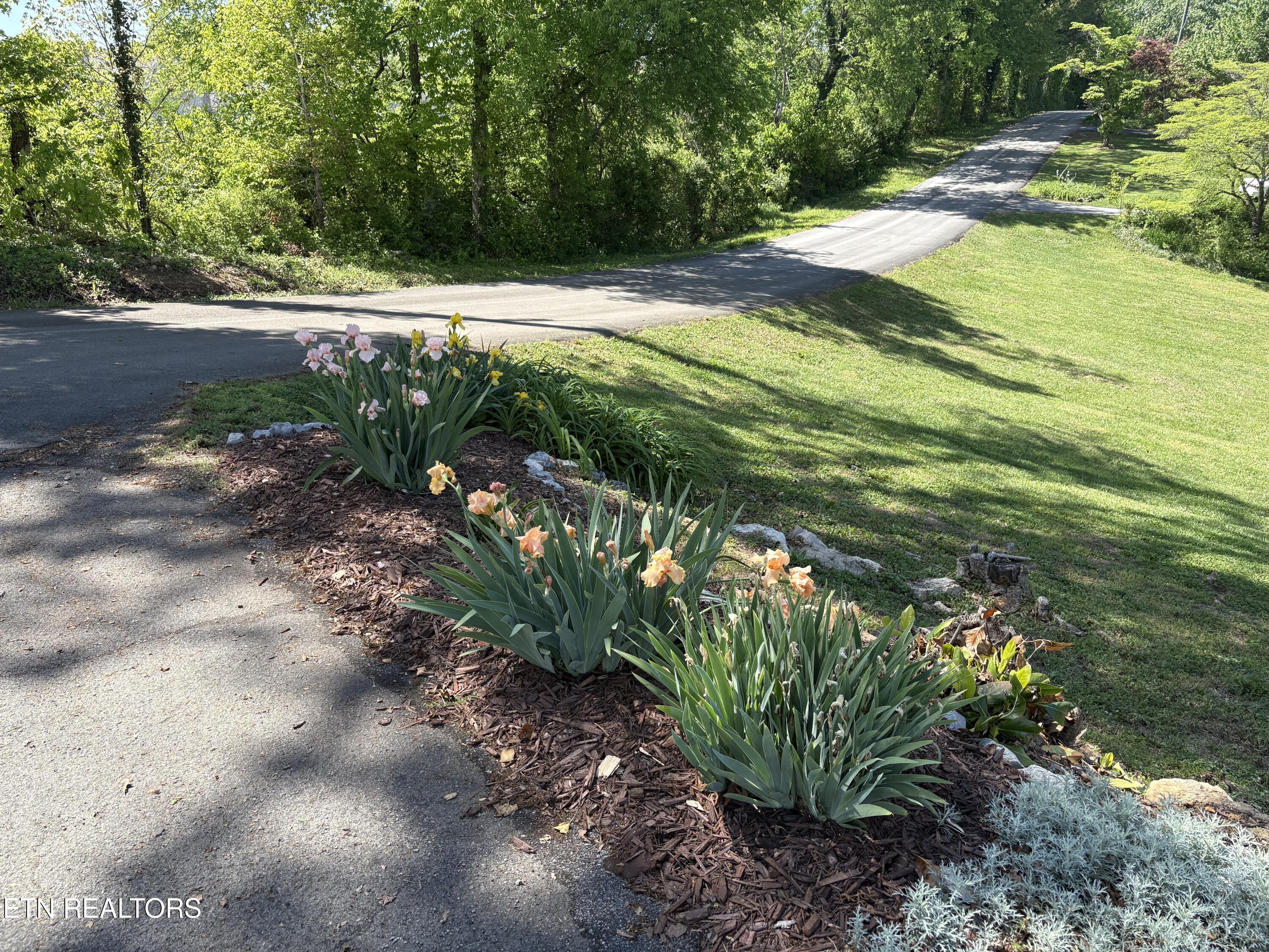 Fort Loudoun and Tellico Lake Real Estate - Image# 7