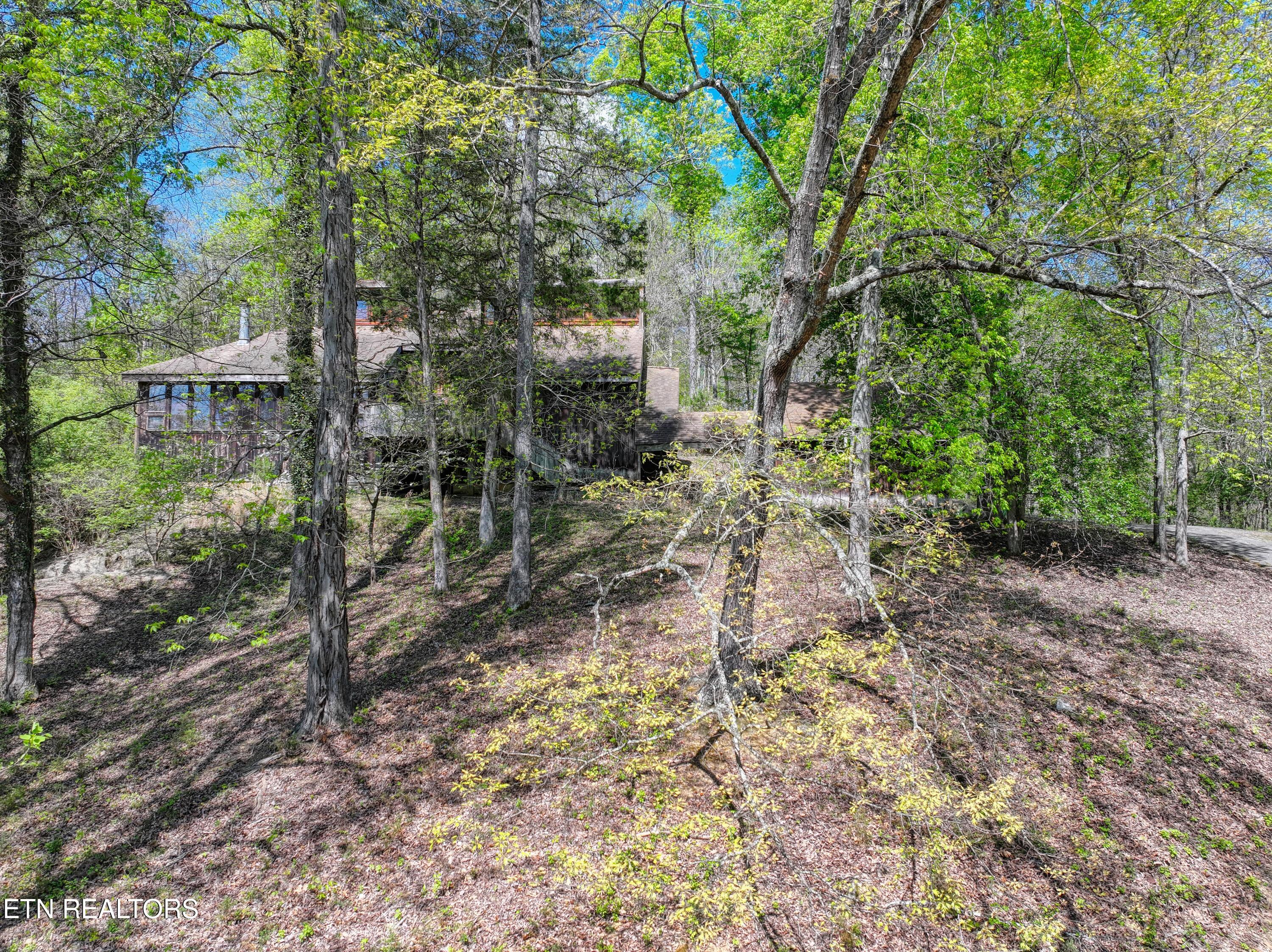 8833 Cove Point Lane, Knoxville, TN - Fort Loudoun and Tellico Lake Real Estate - Image# 23