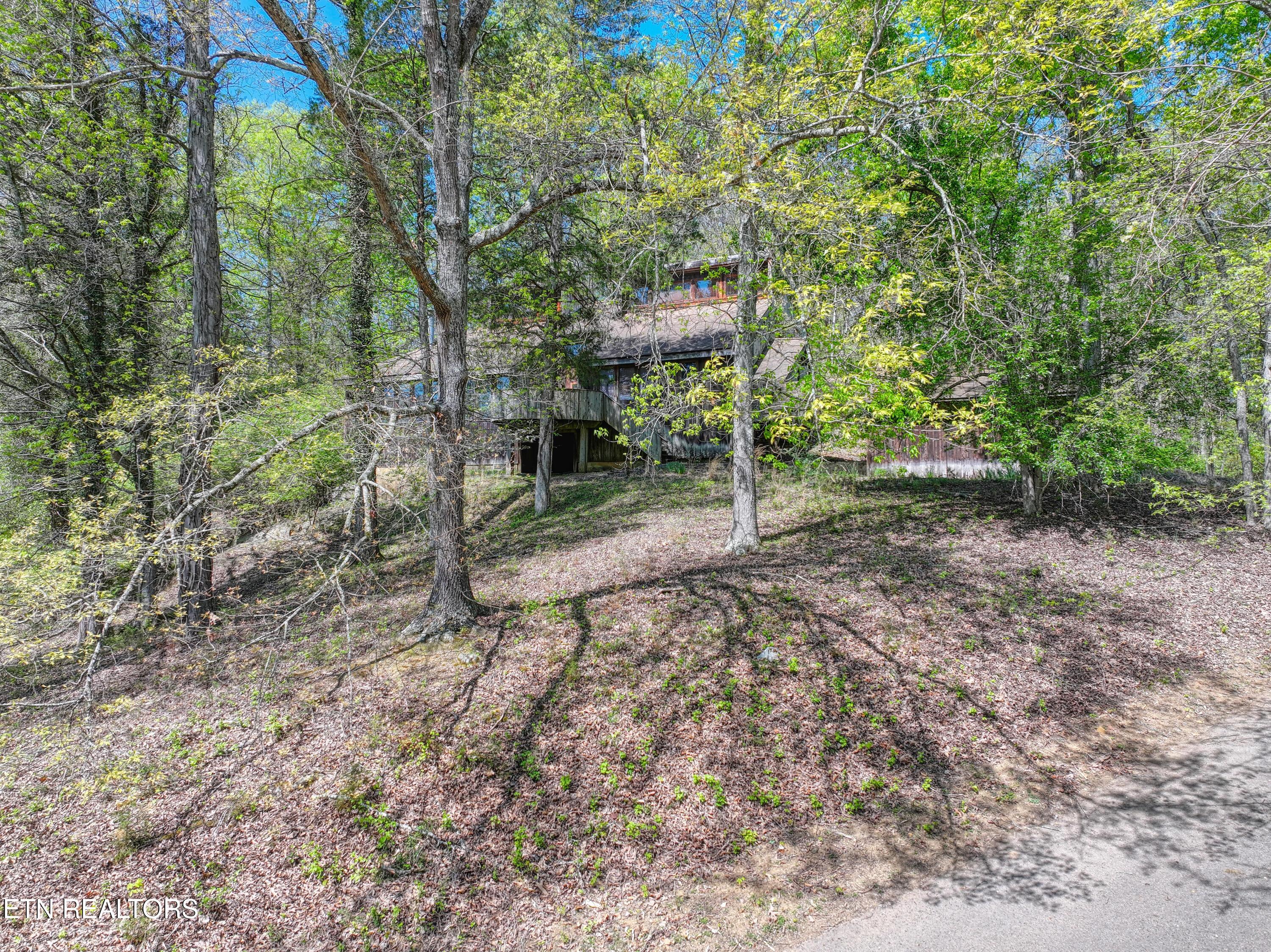 8833 Cove Point Lane, Knoxville, TN - Fort Loudoun and Tellico Lake Real Estate - Image# 24