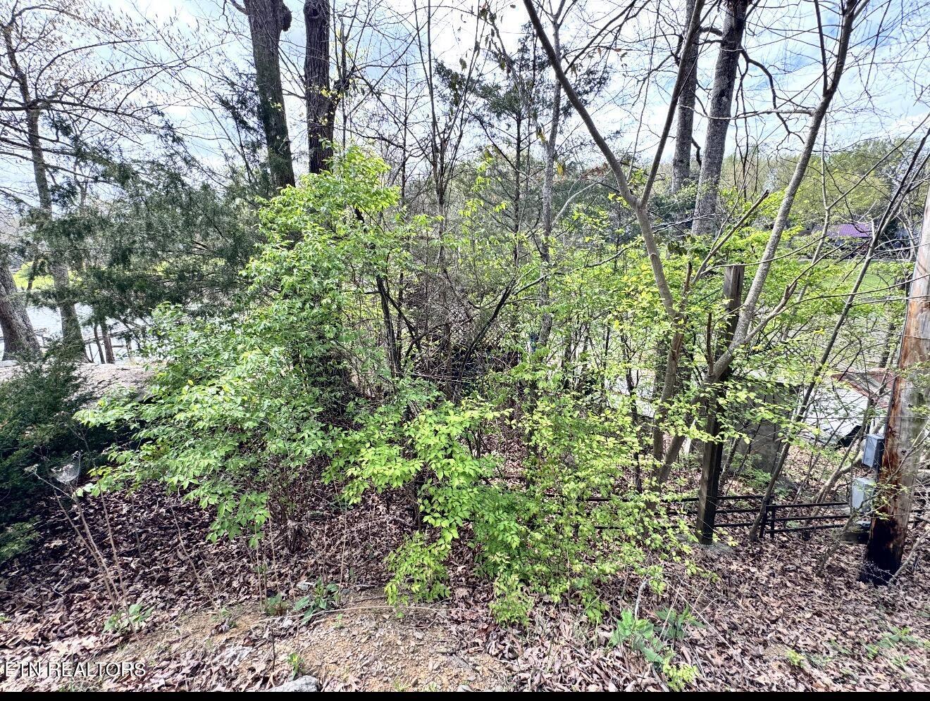 8833 Cove Point Lane, Knoxville, TN - Fort Loudoun and Tellico Lake Real Estate - Image# 28