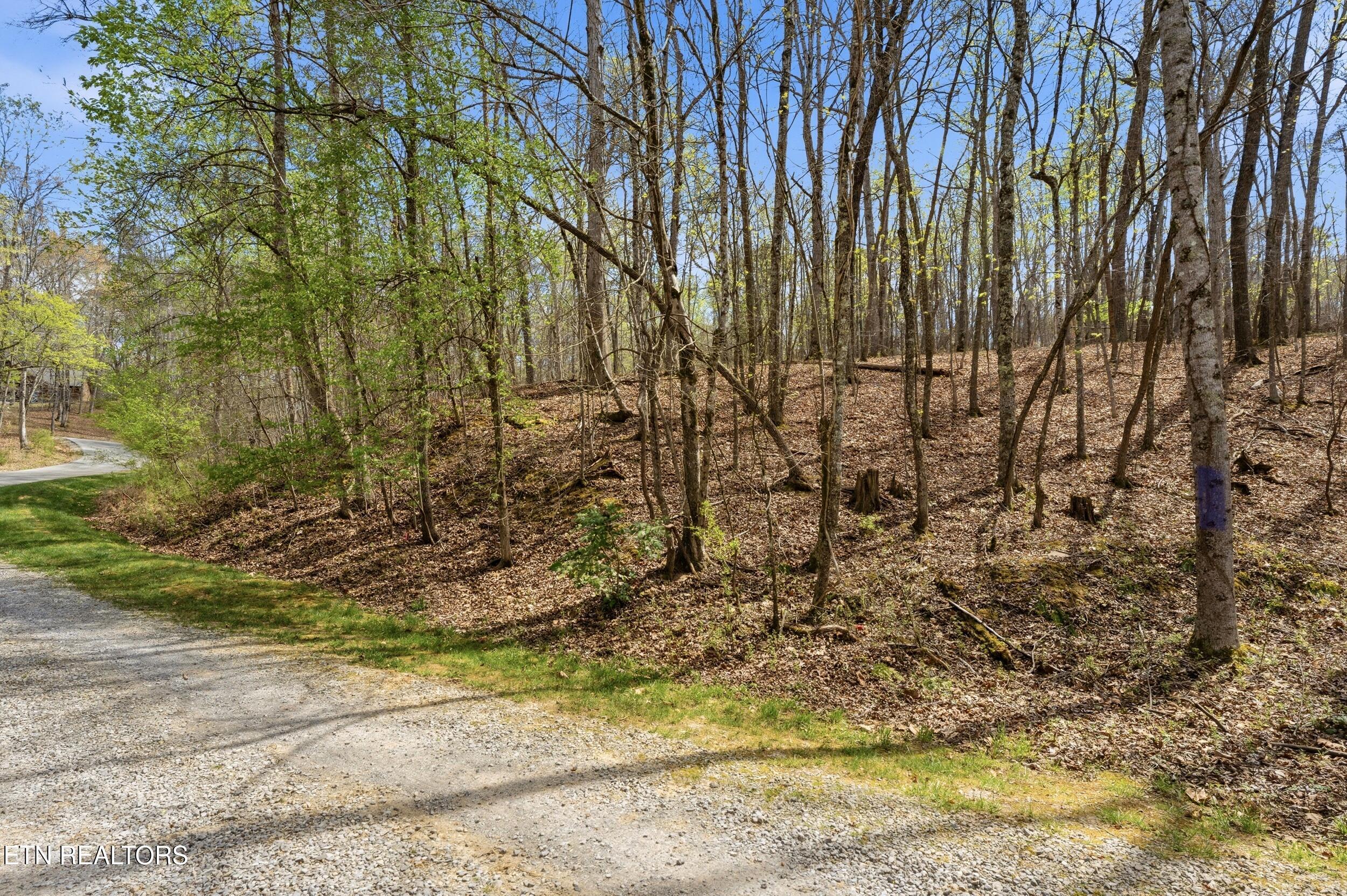 1 Headricks Cove, Lenoir City, TN - Fort Loudoun and Tellico Lake Real Estate - Image# 20