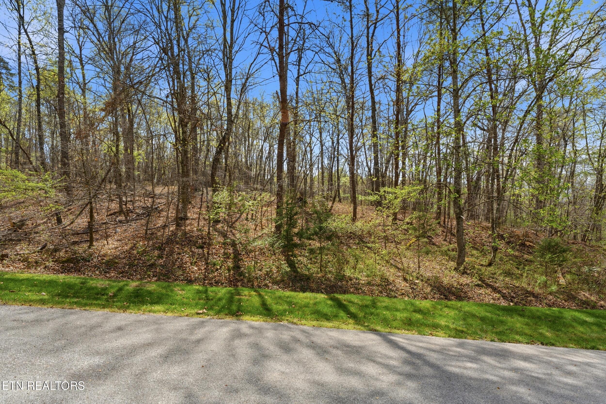 1 Headricks Cove, Lenoir City, TN - Fort Loudoun and Tellico Lake Real Estate - Image# 22