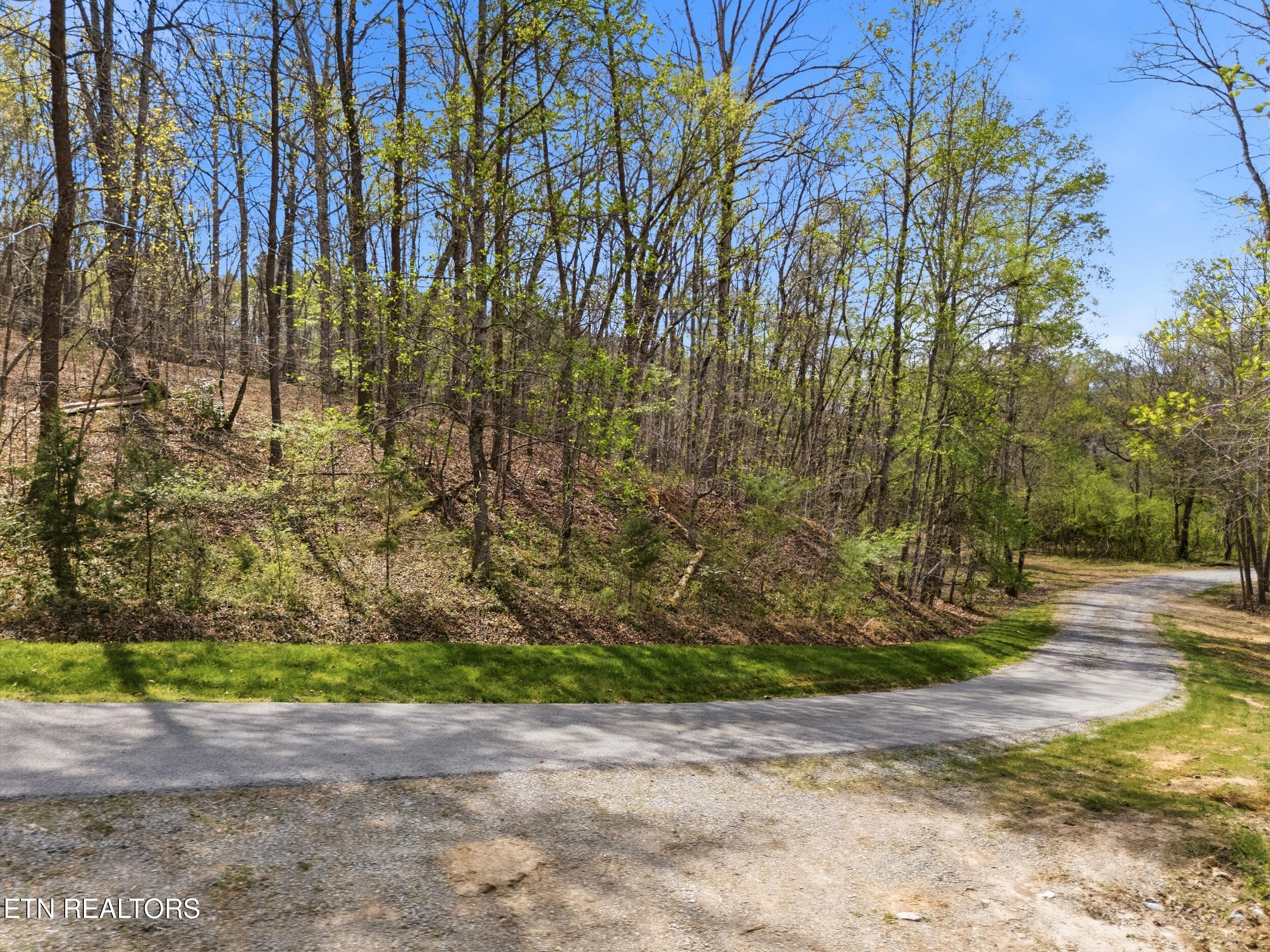 1 Headricks Cove, Lenoir City, TN - Fort Loudoun and Tellico Lake Real Estate - Image# 23