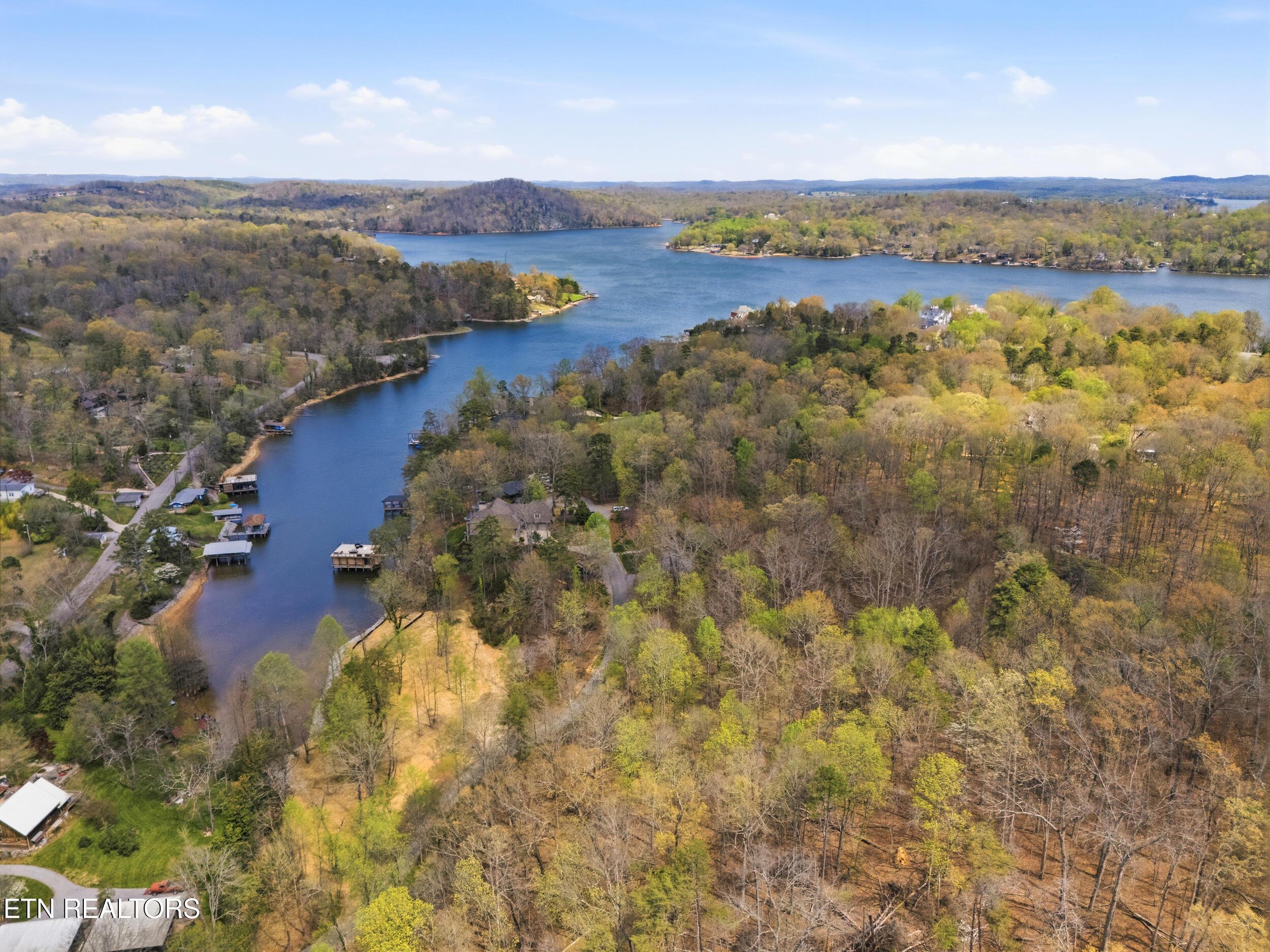 1 Headricks Cove, Lenoir City, TN - Fort Loudoun and Tellico Lake Real Estate - Image# 25