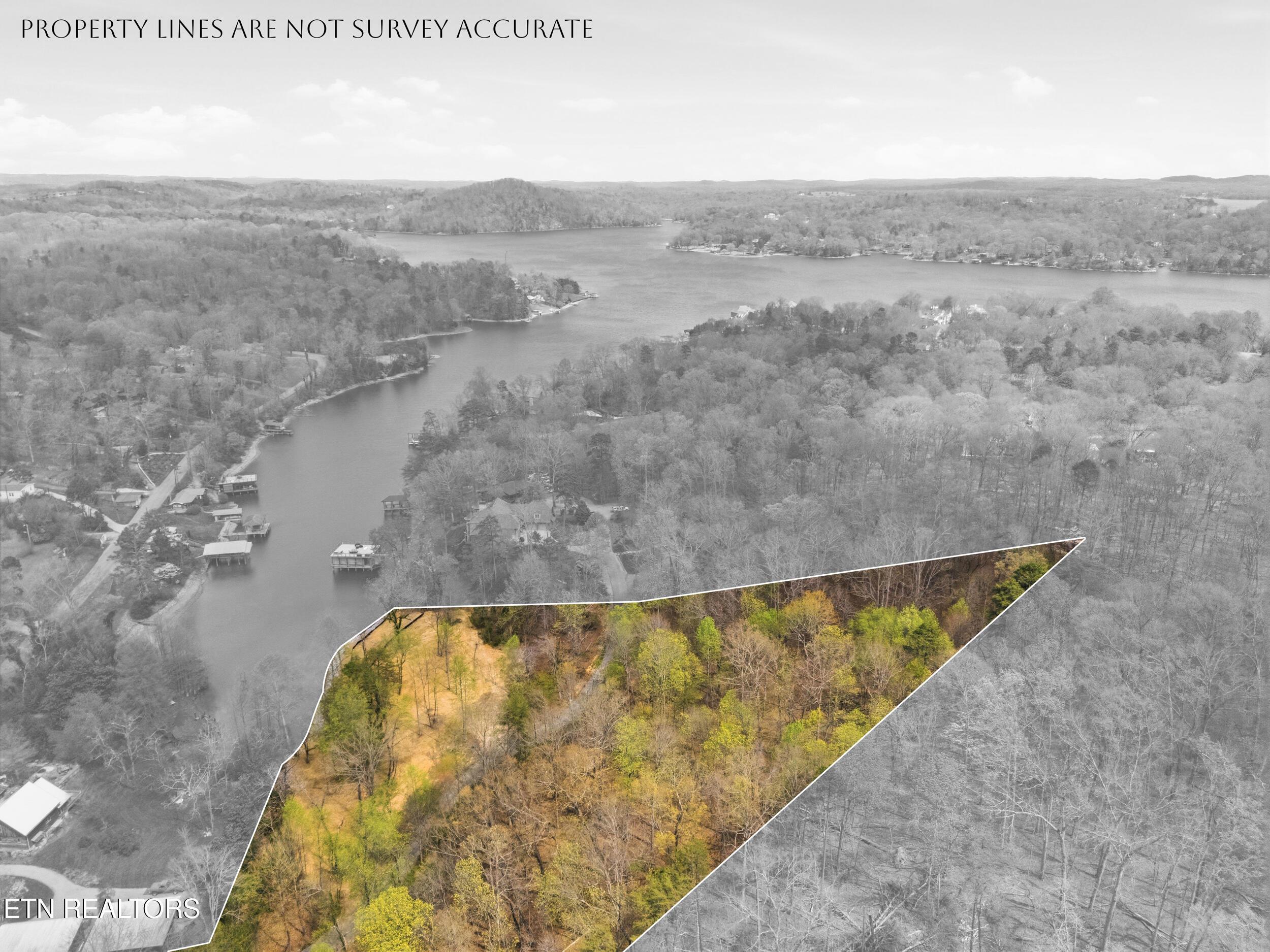 1 Headricks Cove, Lenoir City, TN - Fort Loudoun and Tellico Lake Real Estate - Image# 26
