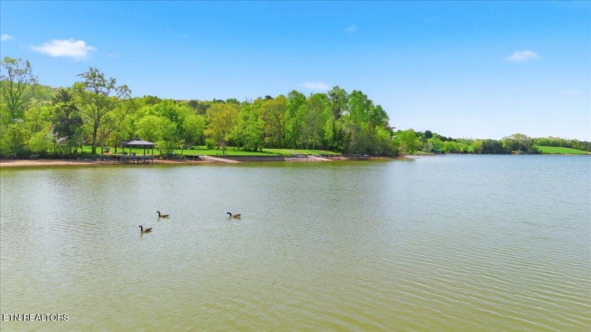 10609 Riverlake Drive, Knoxville, TN - Fort Loudoun and Tellico Lake Real Estate - Image# 43