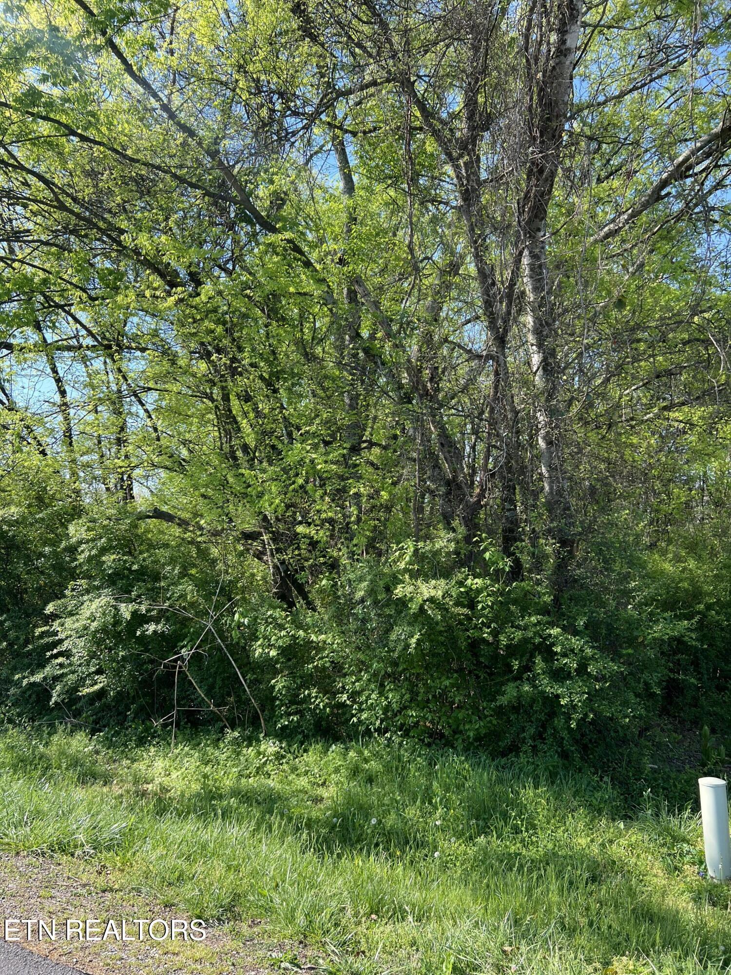 170 Utsesti Way, Loudon, TN - Fort Loudoun and Tellico Lake Real Estate - Image# 3