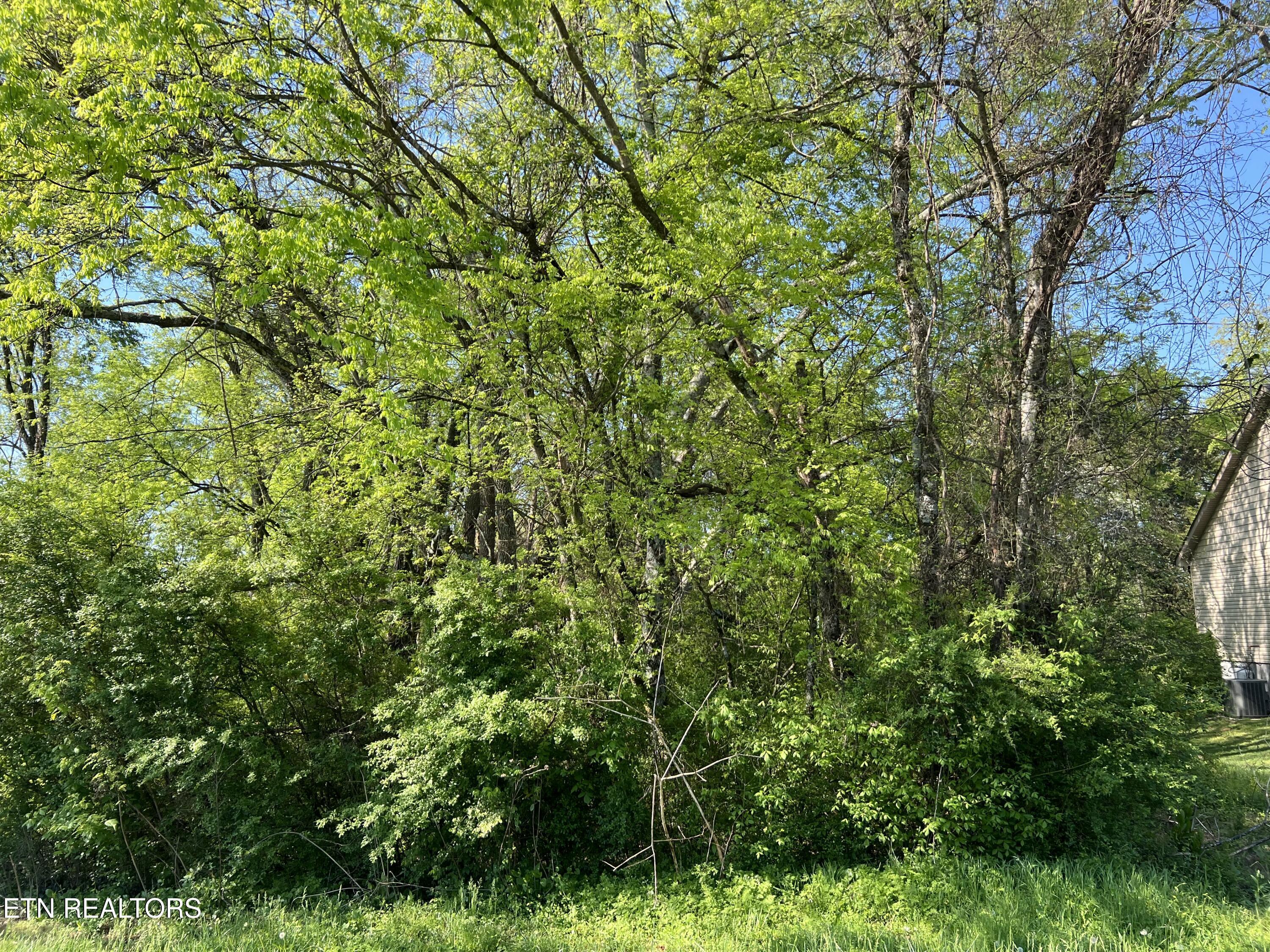 170 Utsesti Way, Loudon, TN - Fort Loudoun and Tellico Lake Real Estate - Image# 4