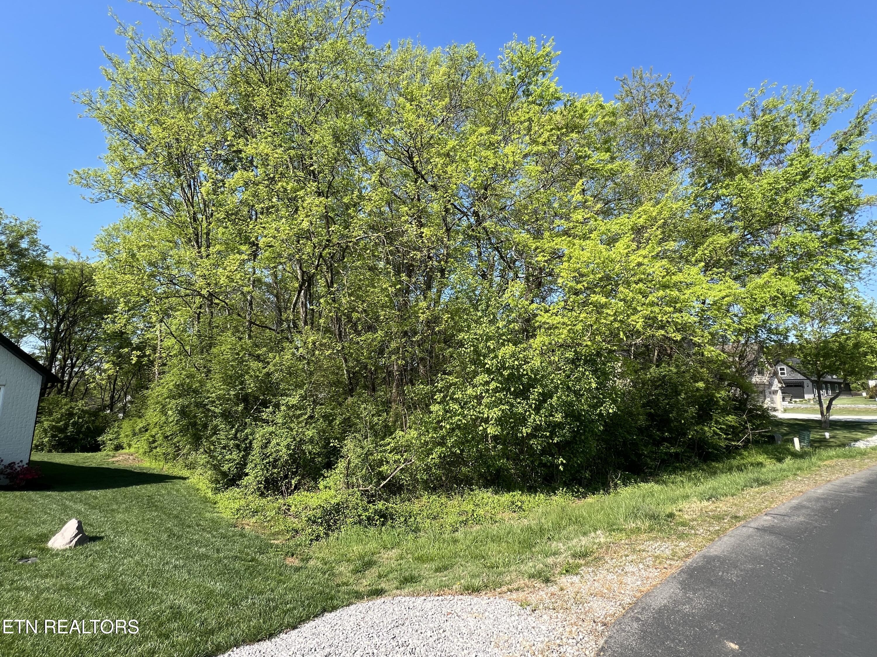 170 Utsesti Way, Loudon, TN - Fort Loudoun and Tellico Lake Real Estate - Image# 2