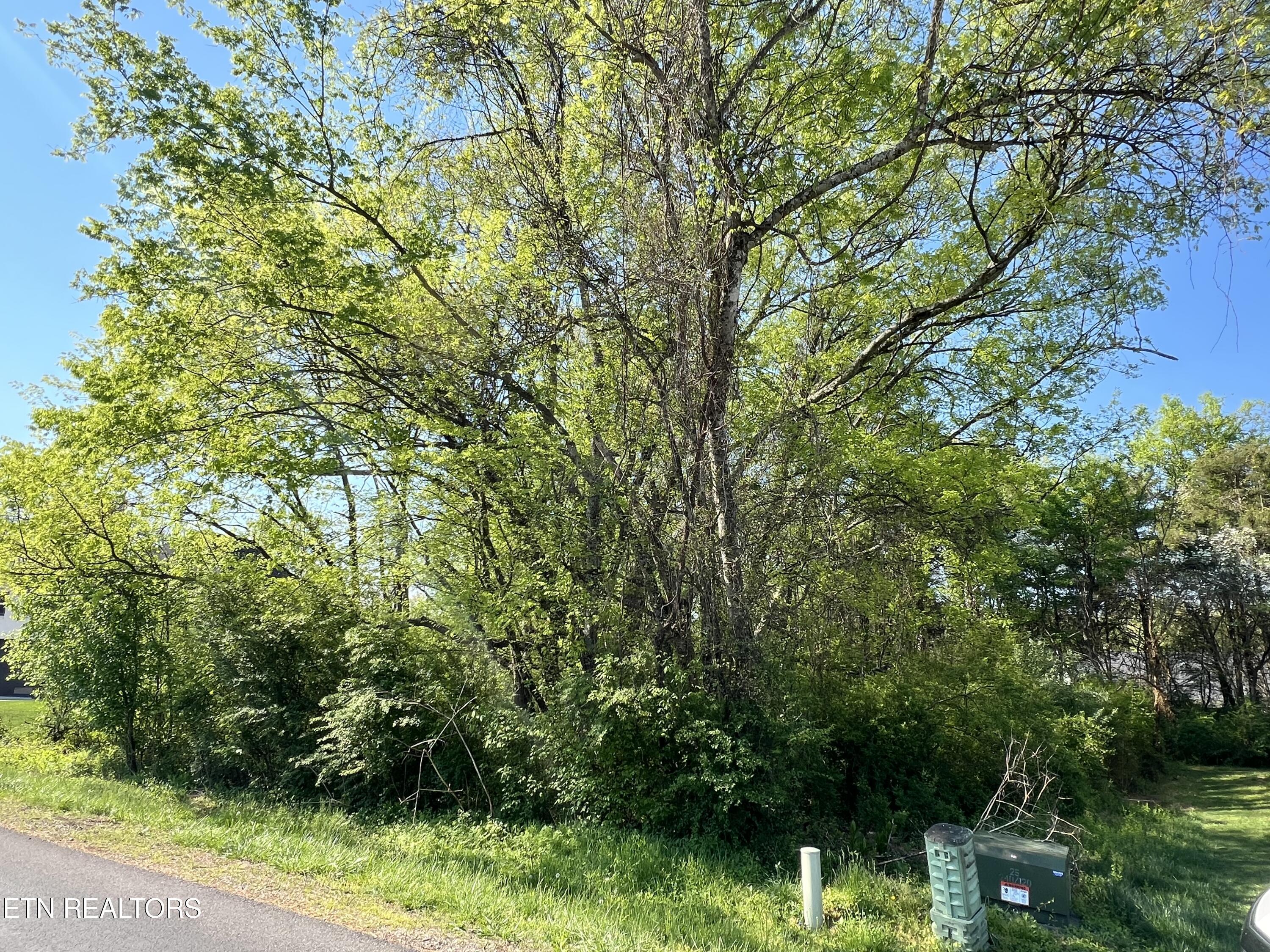 170 Utsesti Way, Loudon, TN - Fort Loudoun and Tellico Lake Real Estate - Image# 5