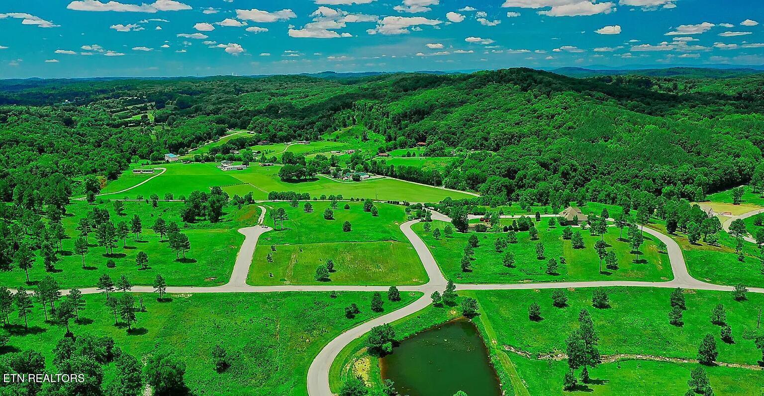 408 Wood Duck Lane, Loudon, TN - Fort Loudoun and Tellico Lake Real Estate - Image# 7