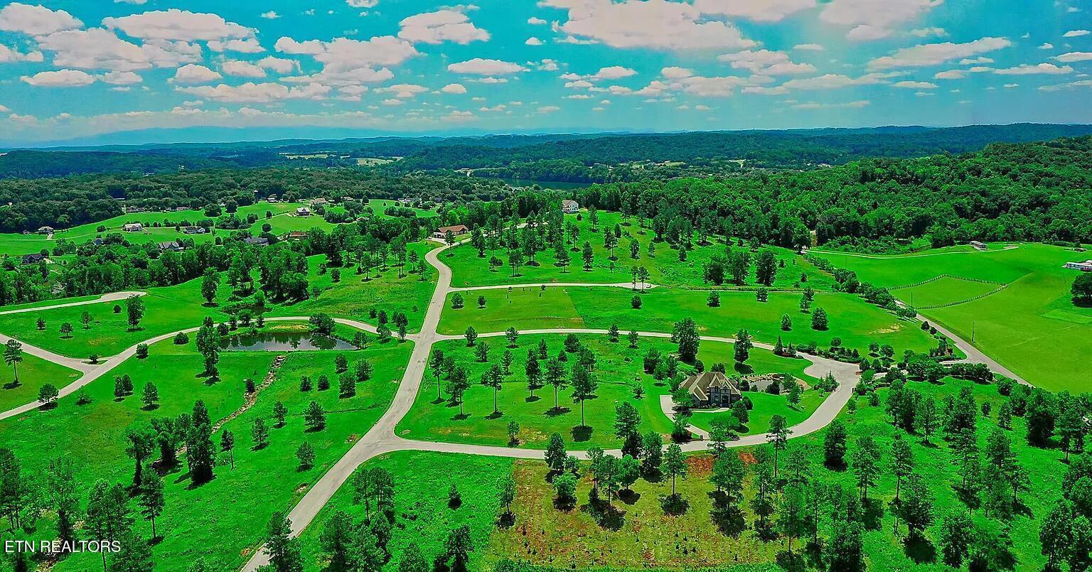 408 Wood Duck Lane, Loudon, TN - Fort Loudoun and Tellico Lake Real Estate - Image# 9