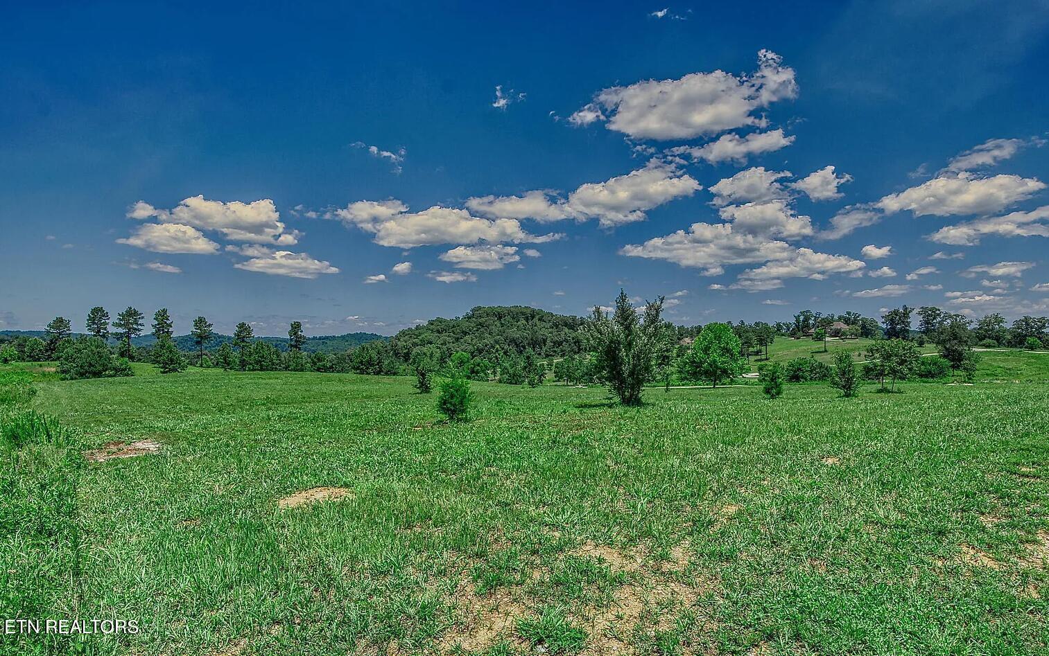 408 Wood Duck Lane, Loudon, TN - Fort Loudoun and Tellico Lake Real Estate - Image# 11